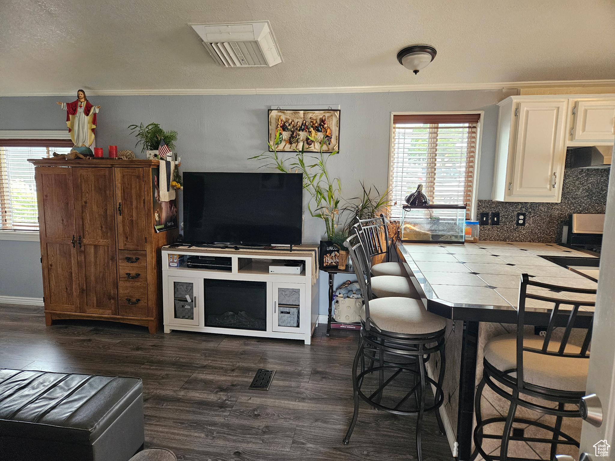 Kitchen featuring white cabinetry, a wealth of natural light, dark wood-type flooring, and tasteful backsplash