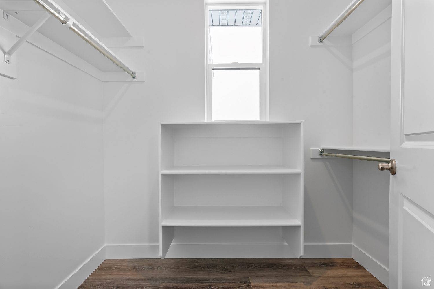 Spacious closet featuring dark hardwood / wood-style flooring