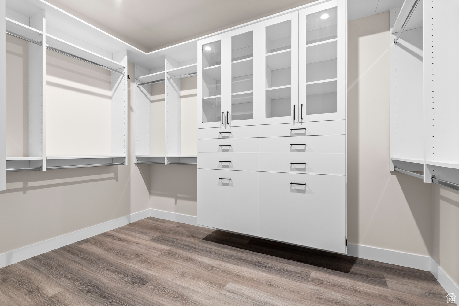 Spacious closet featuring wood-type flooring