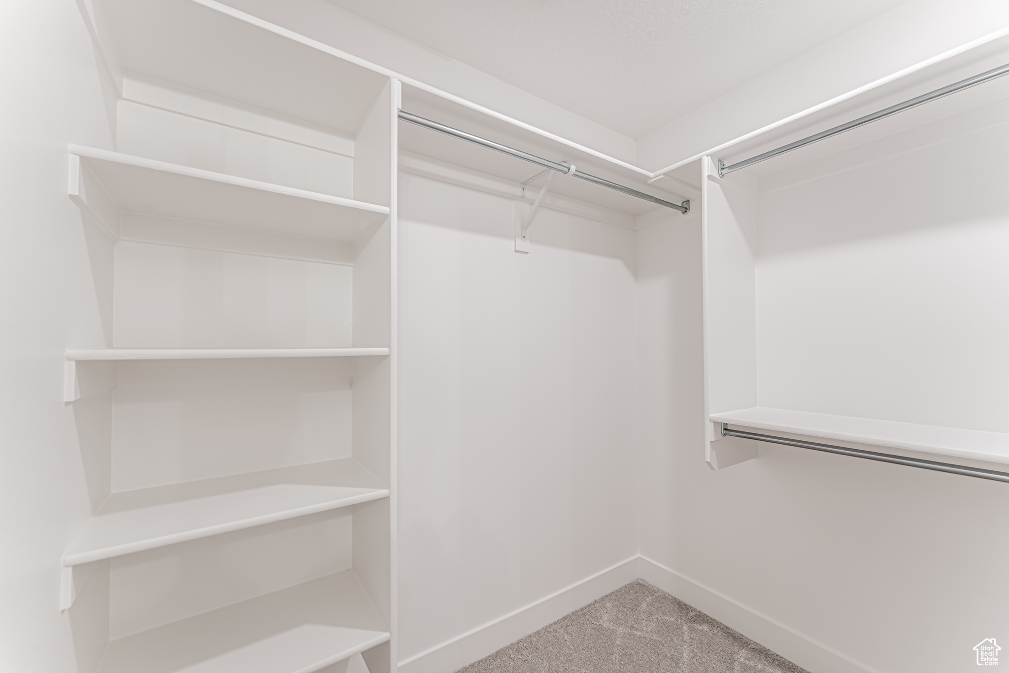 Spacious closet featuring carpet floors