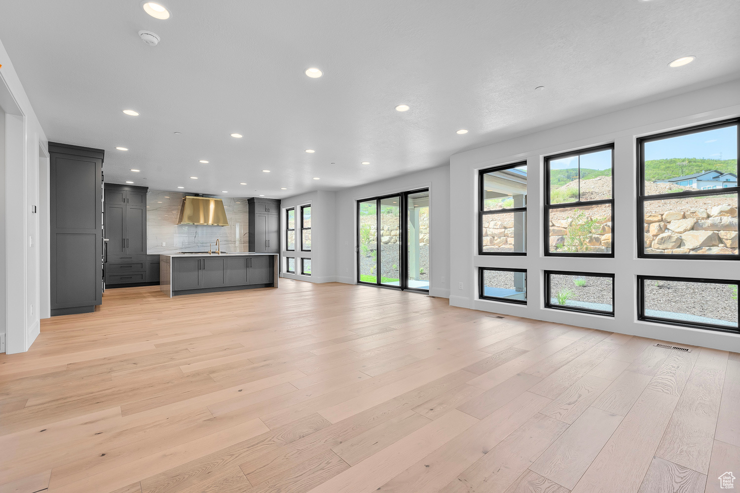 Unfurnished living room with light hardwood / wood-style flooring and a healthy amount of sunlight