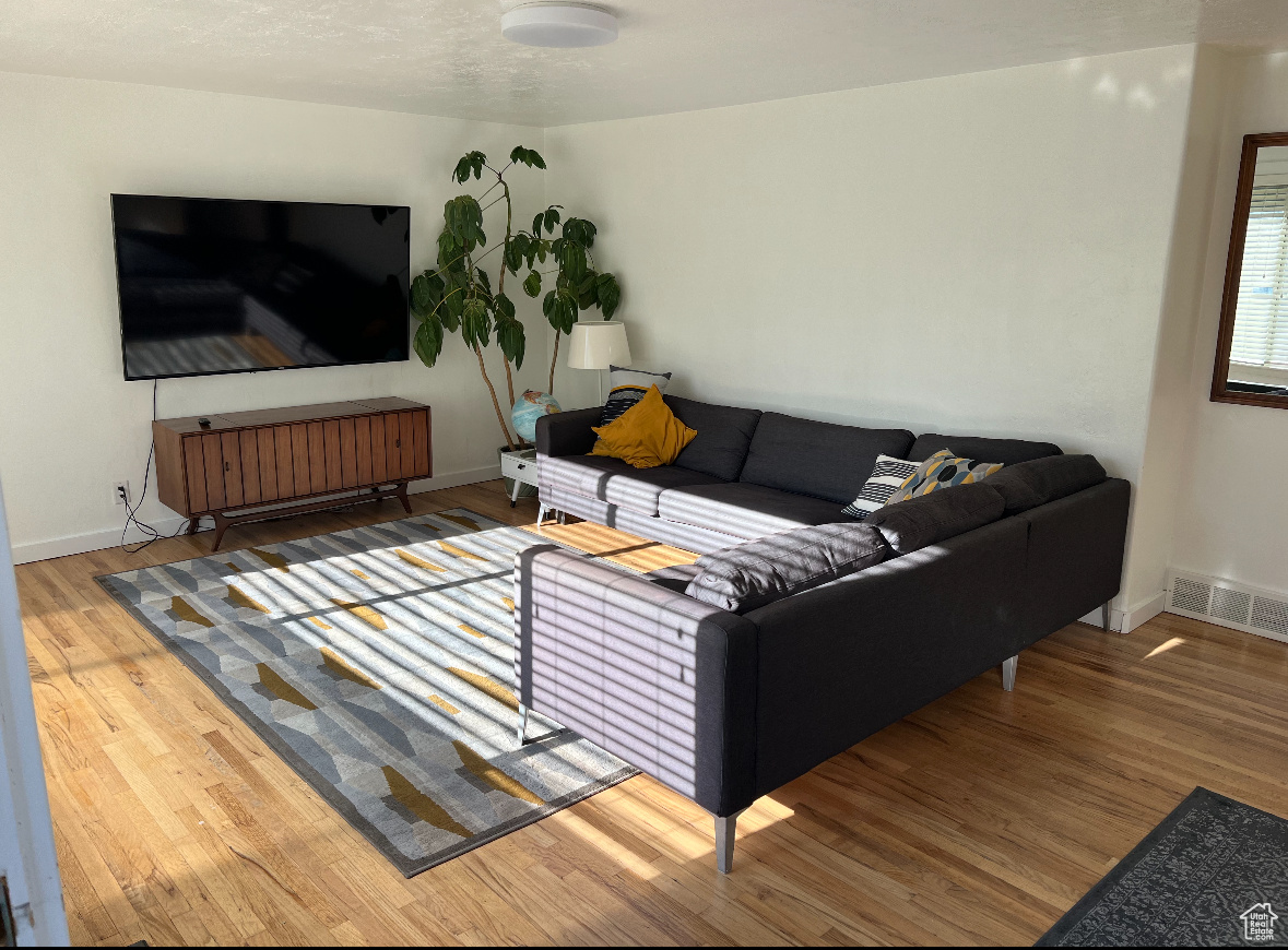 Living room featuring light hardwood / wood-style floors