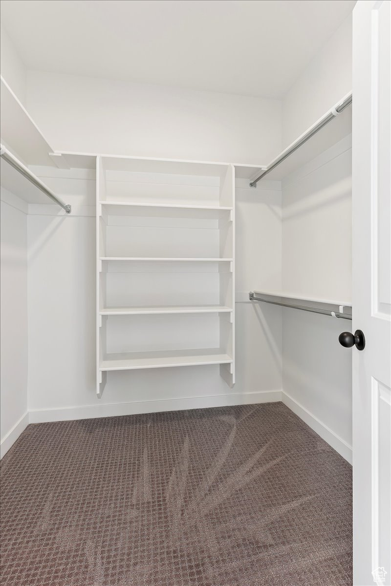 Spacious closet featuring dark carpet