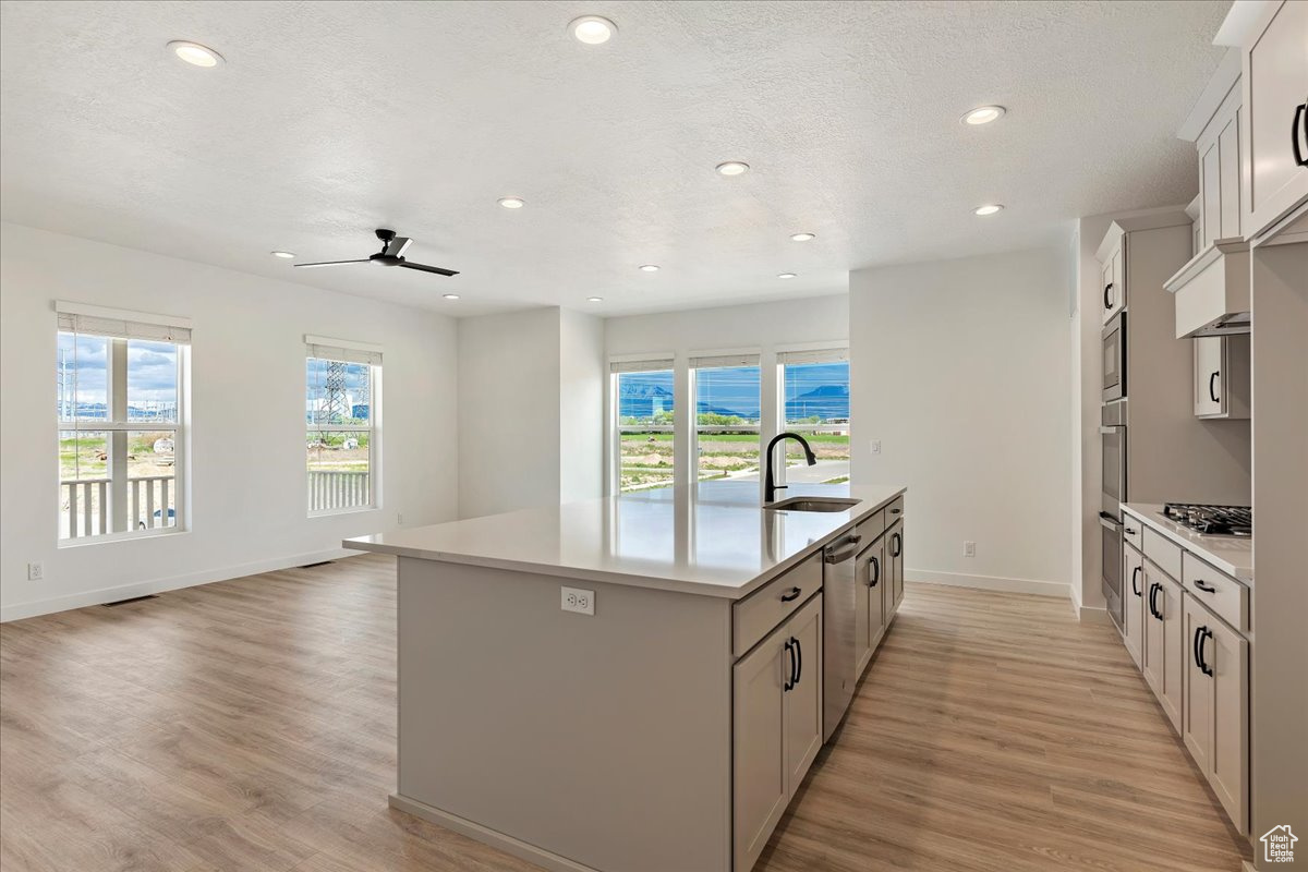 Kitchen featuring sink, plenty of natural light, an island with sink, and light hardwood / wood-style flooring