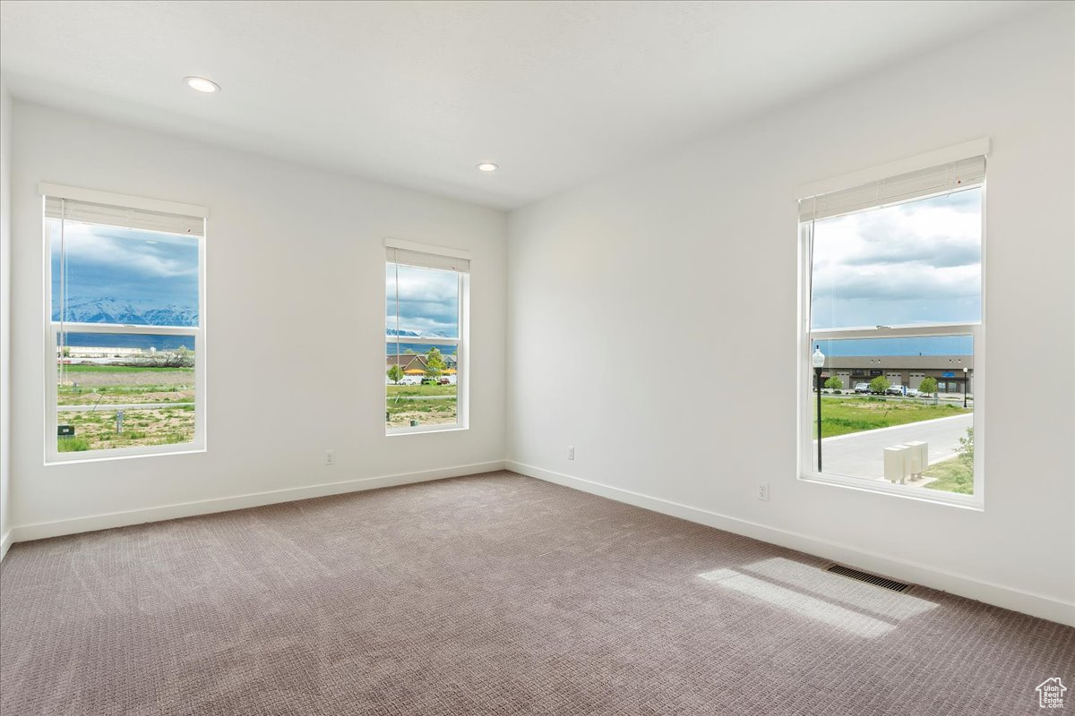 Spare room with a healthy amount of sunlight and carpet floors