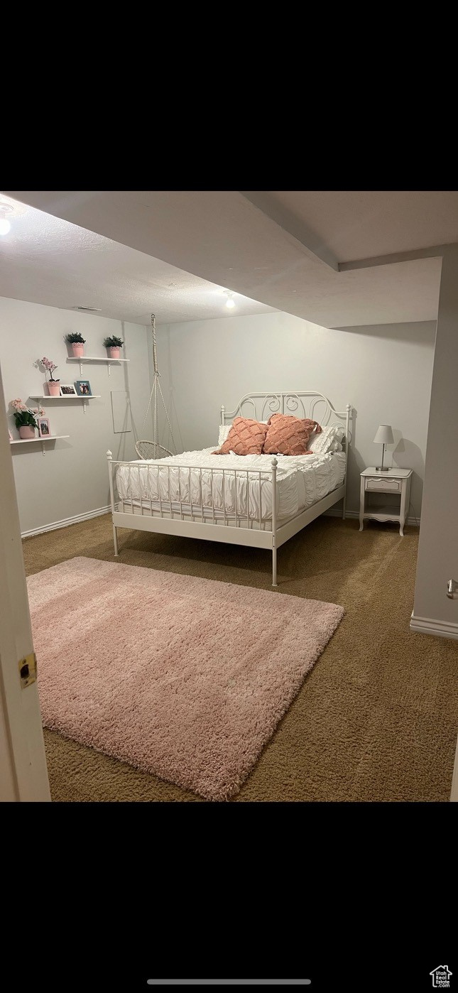 Bedroom in Basement with Walk in Closet