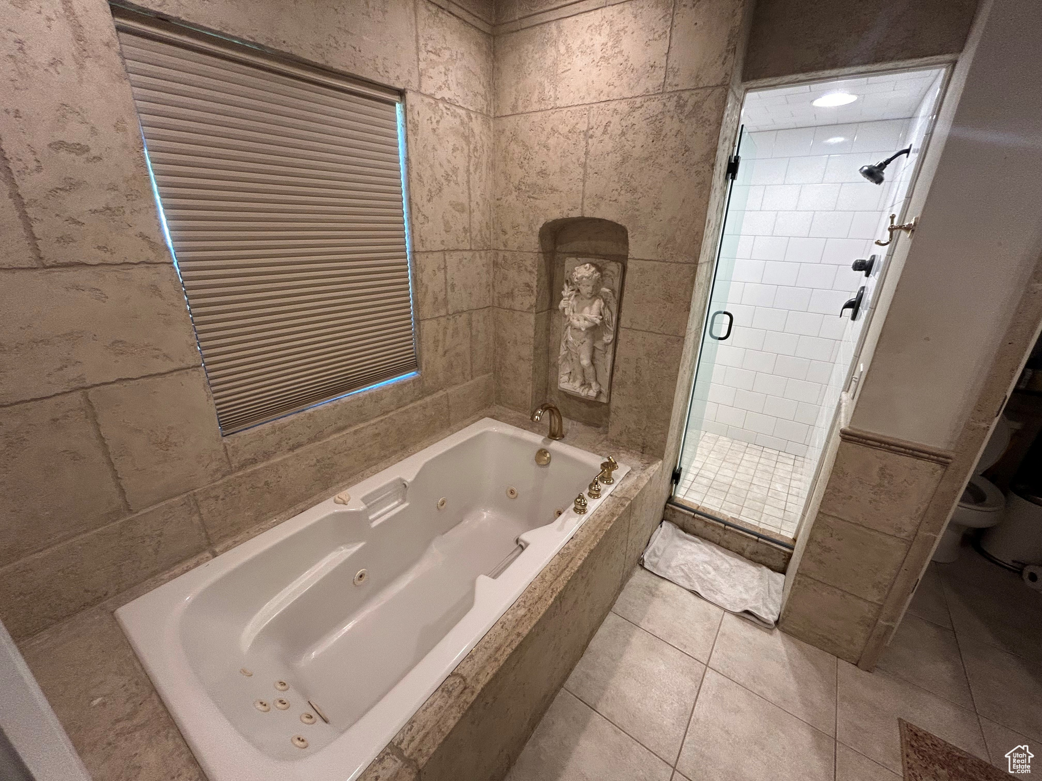 Master Tub and Shower