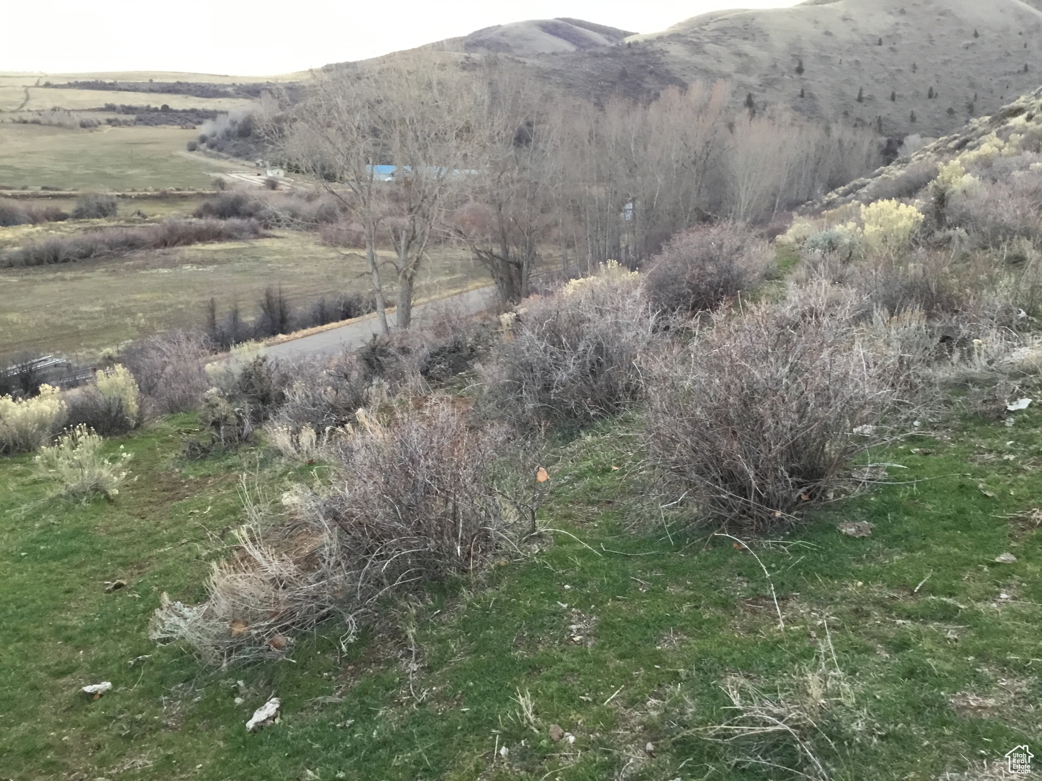 Saint Charles, Idaho 83272, ,Land,For sale,2001740