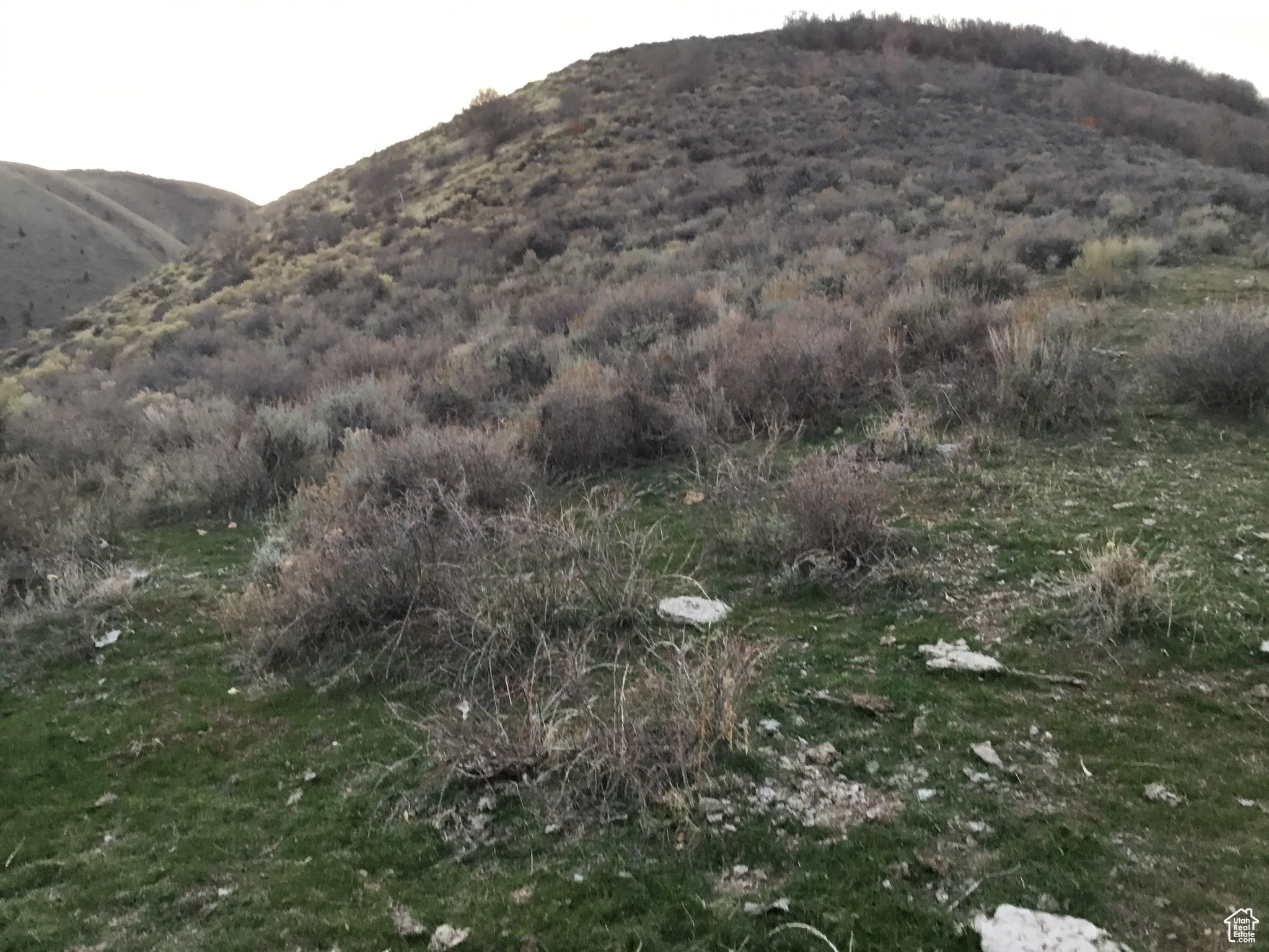 Saint Charles, Idaho 83272, ,Land,For sale,2001740