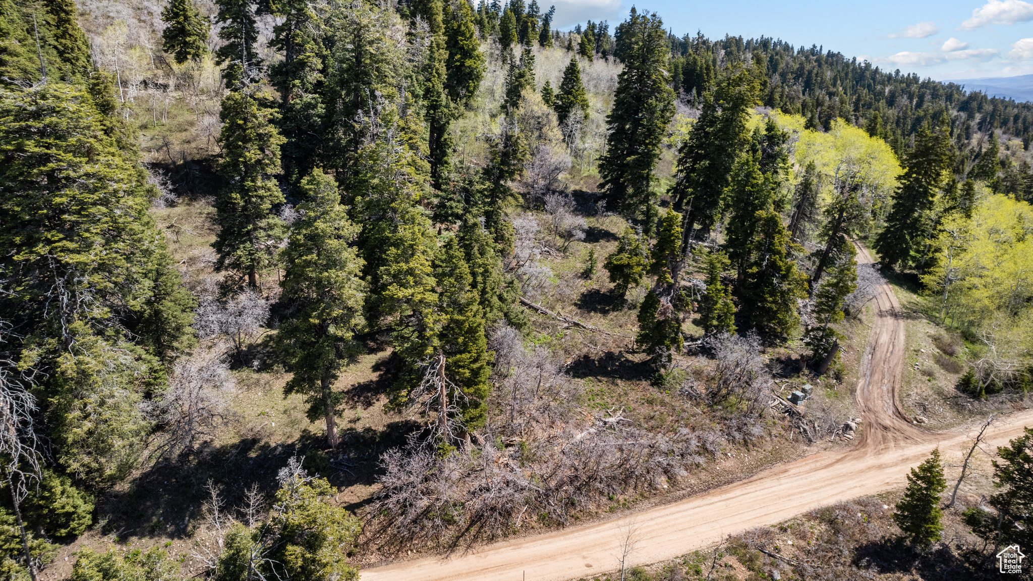 2020 W ELK #82, Coalville, Utah 84017, ,Land,For sale,ELK,2001752