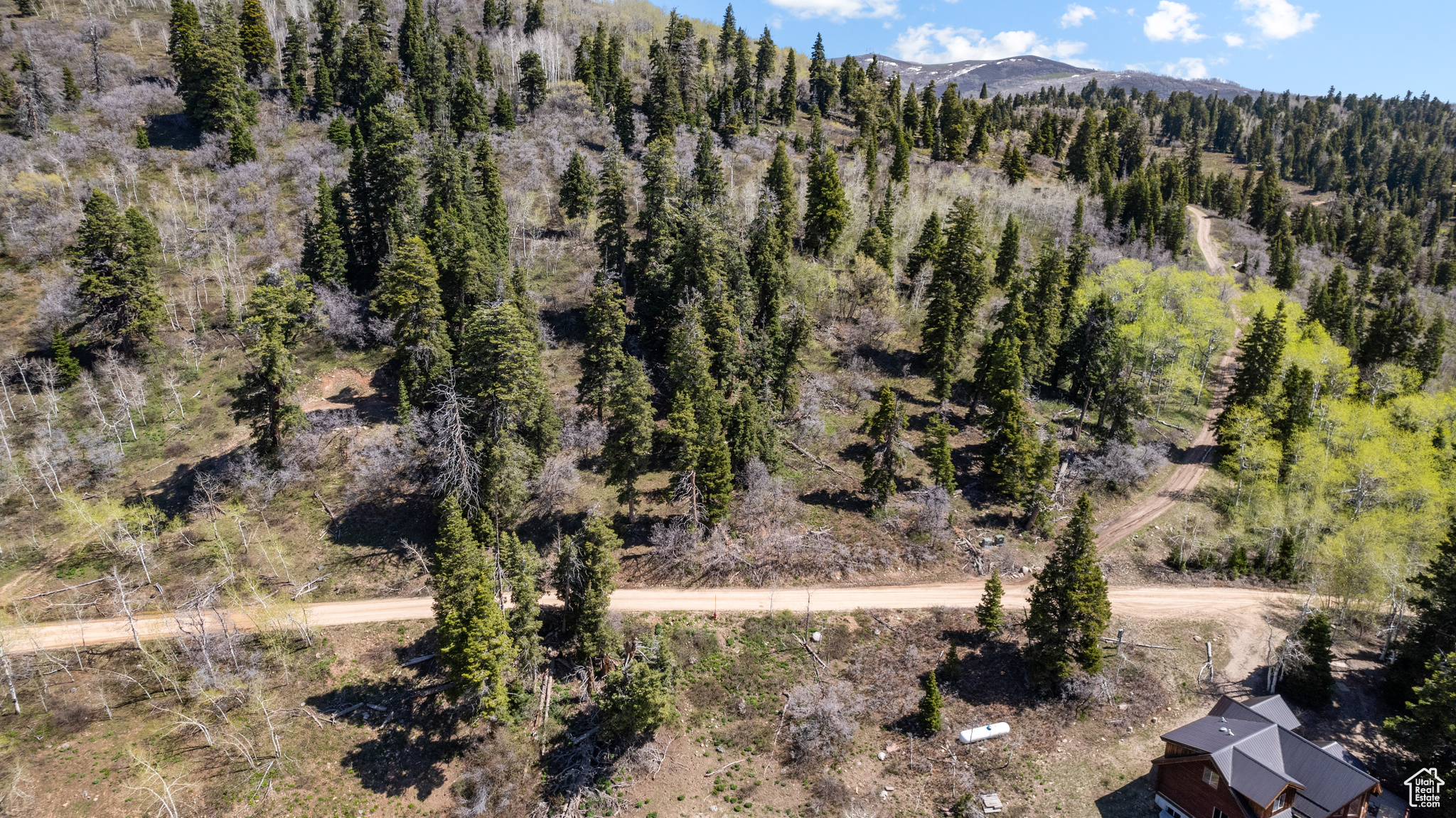 2020 W ELK #82, Coalville, Utah 84017, ,Land,For sale,ELK,2001752