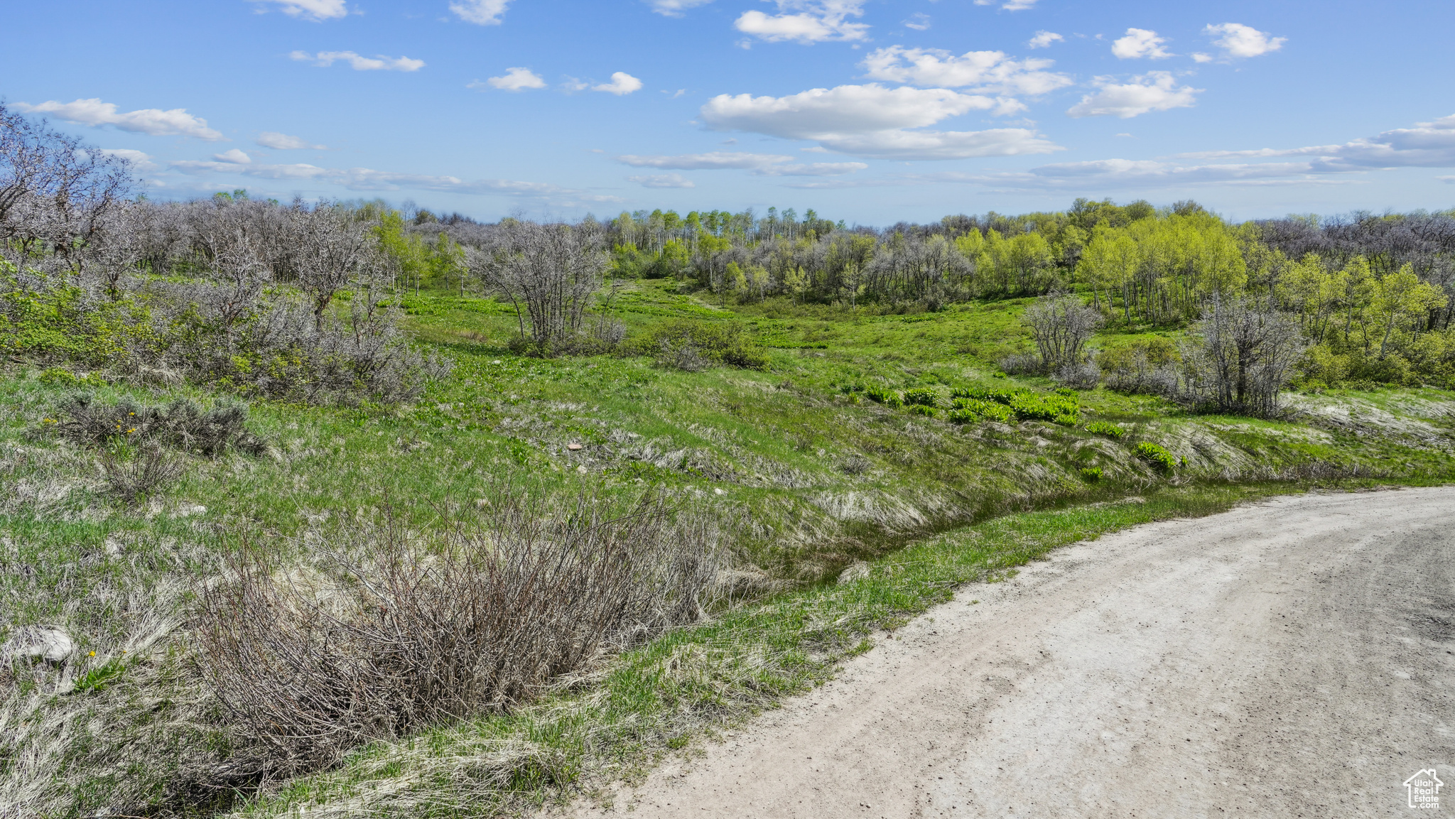 Wanship, Utah 84017, ,Land,For sale,2001753