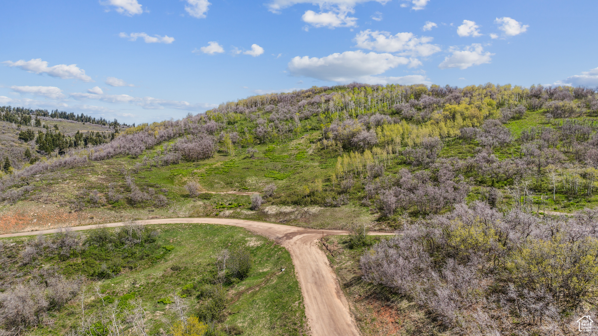 Wanship, Utah 84017, ,Land,For sale,2001753