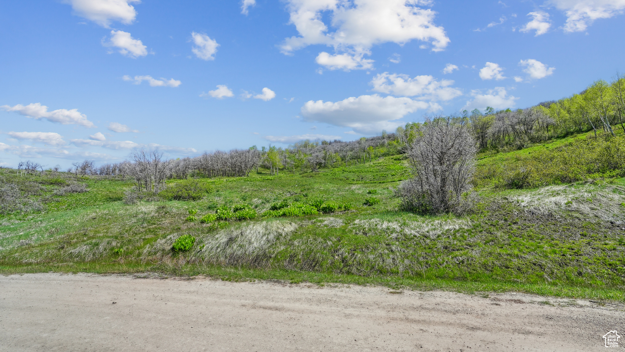 Wanship, Utah 84017, ,Land,For sale,2001753