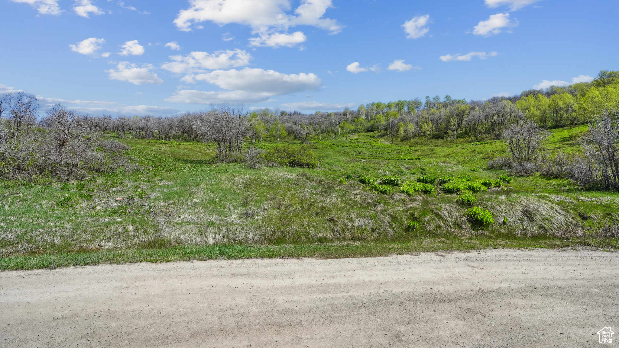 Wanship, Utah 84017, ,Land,For sale,2001753