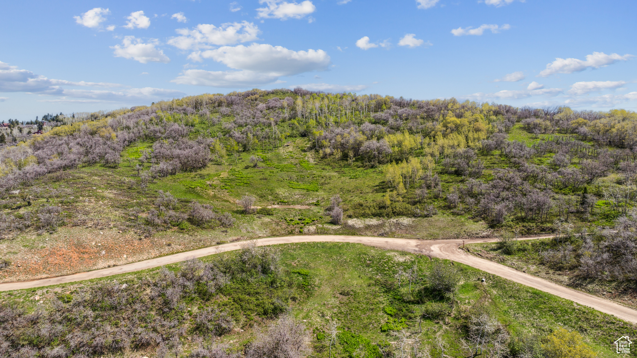 Wanship, Utah 84017, ,Land,For sale,2001753