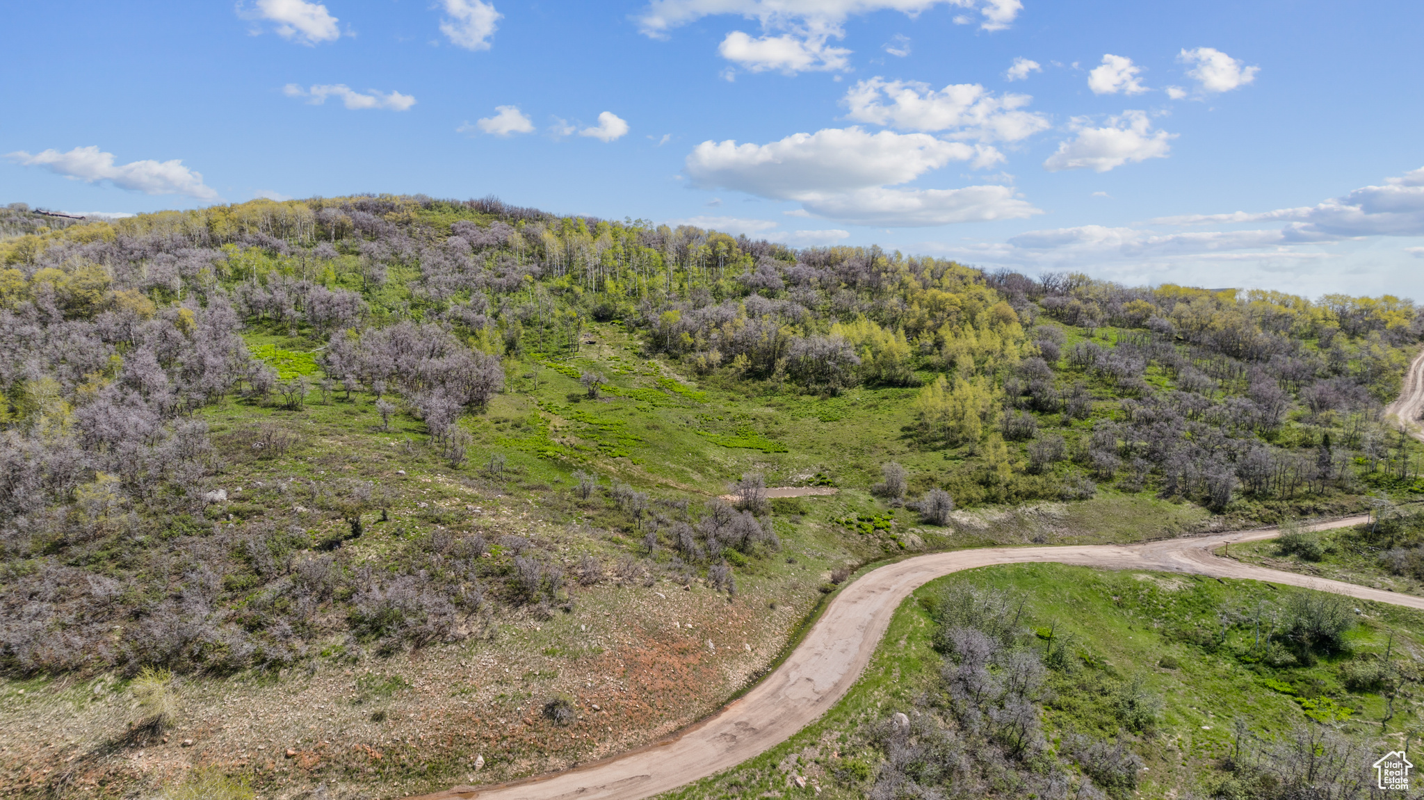 Wanship, Utah 84017, ,Land,For sale,2001753