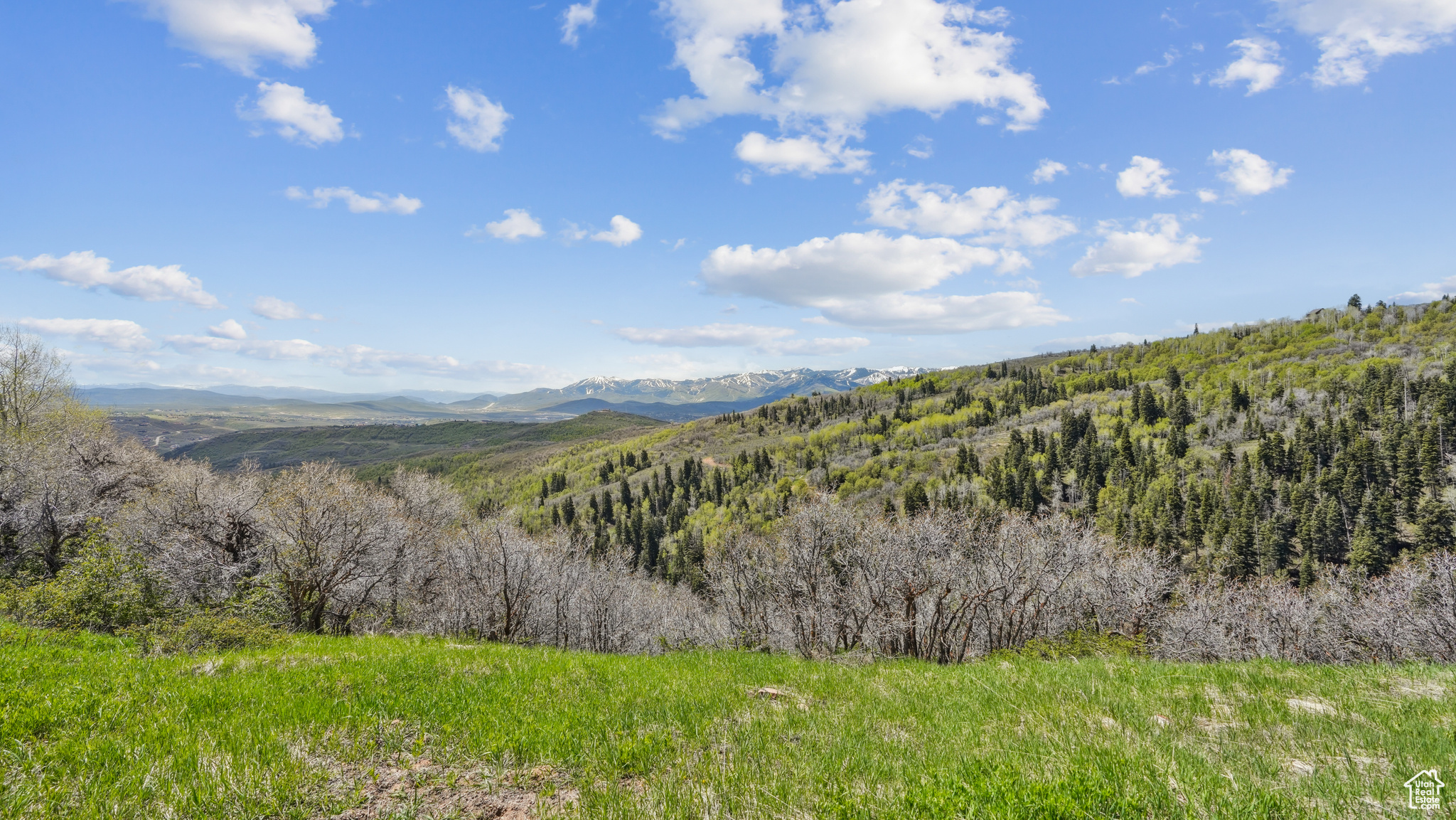 #146L, Wanship, Utah 84017, ,Land,For sale,2001754