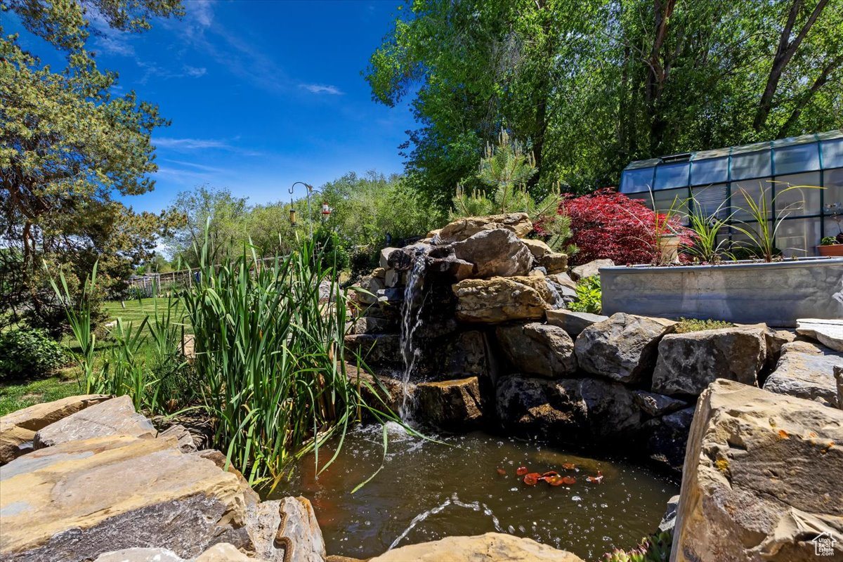 Patio/Koi Pond