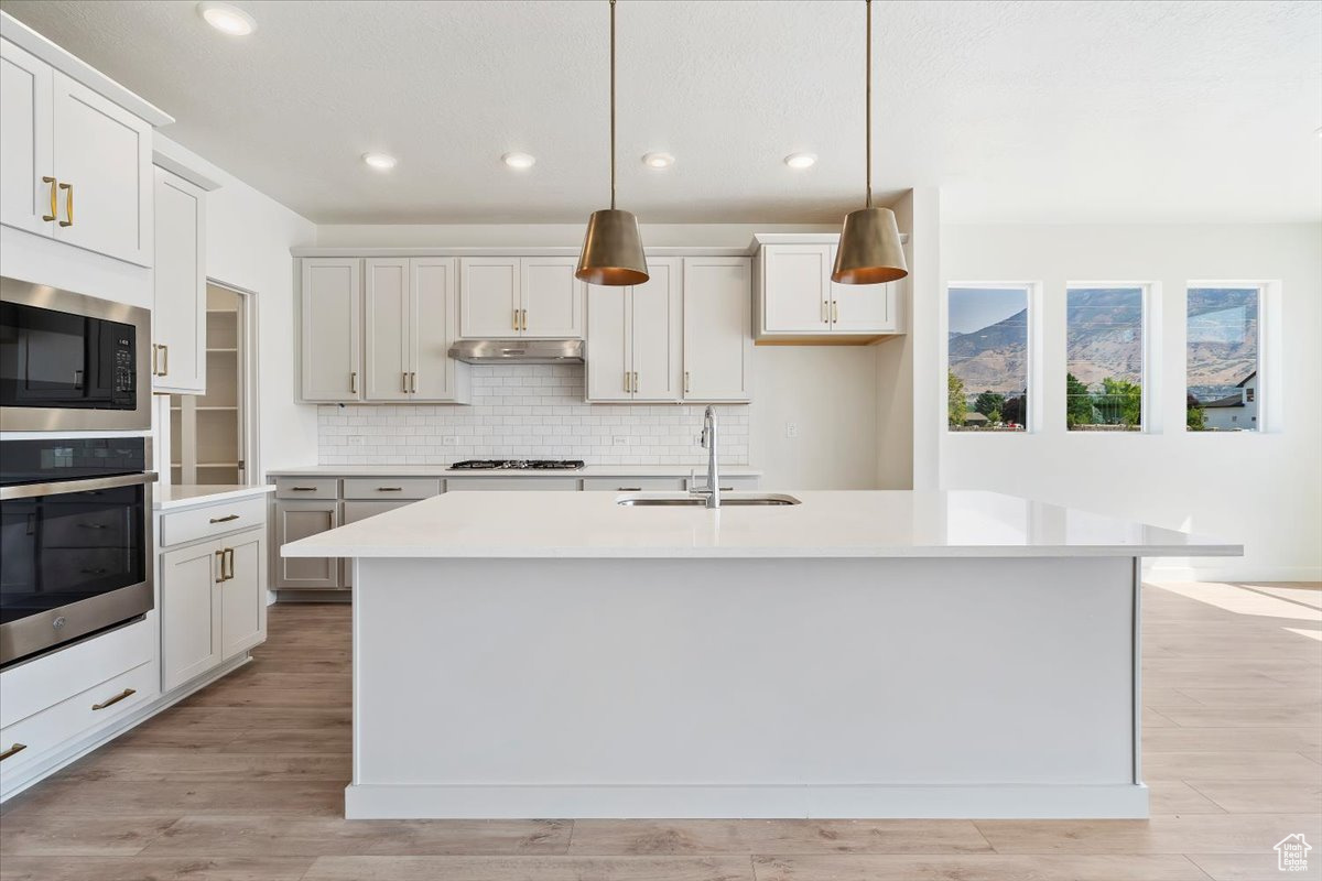 Kitchen featuring a kitchen island with sink, light wood-type flooring, sink, and stainless steel appliances