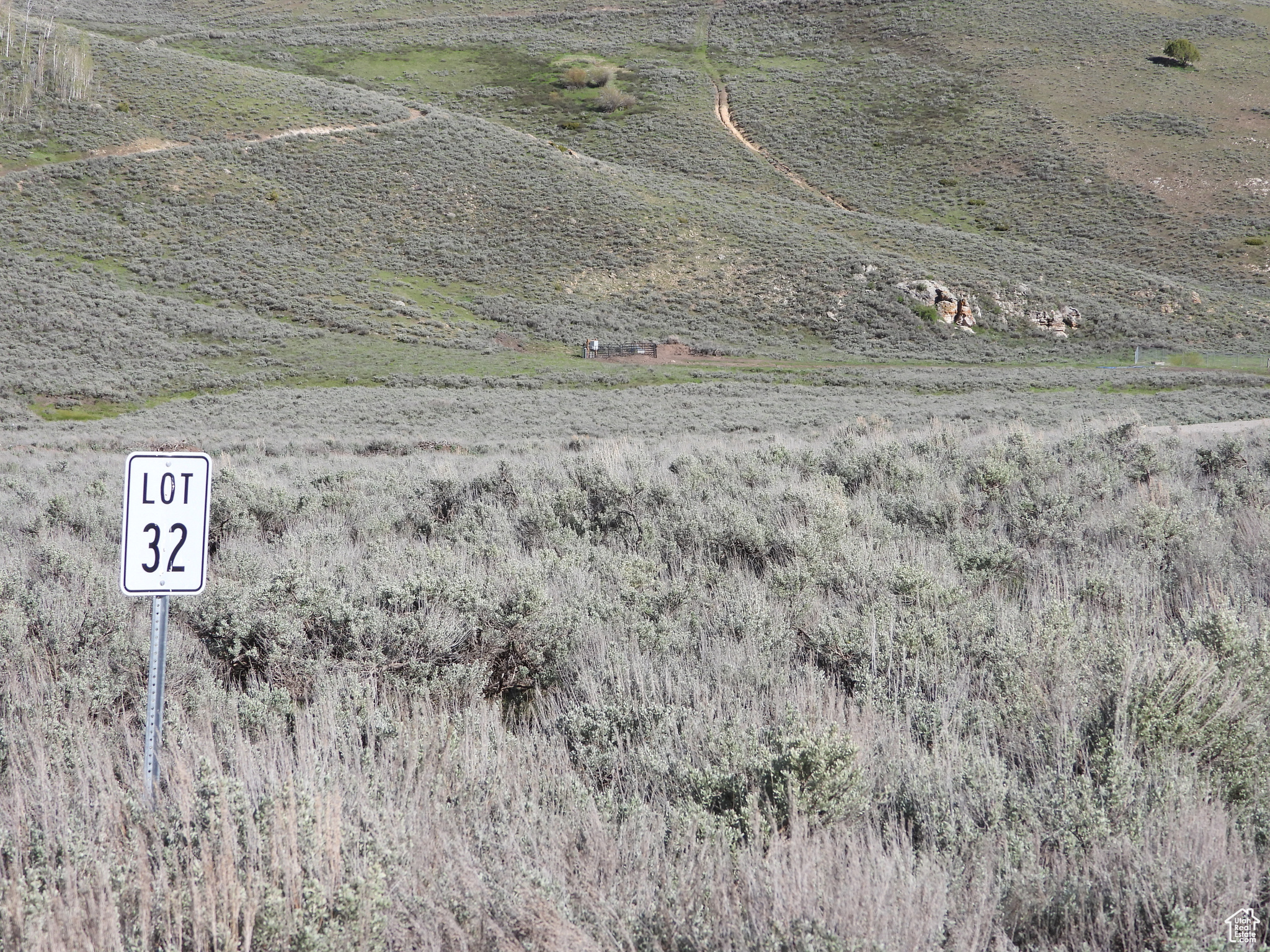 Facing east from western edge of property