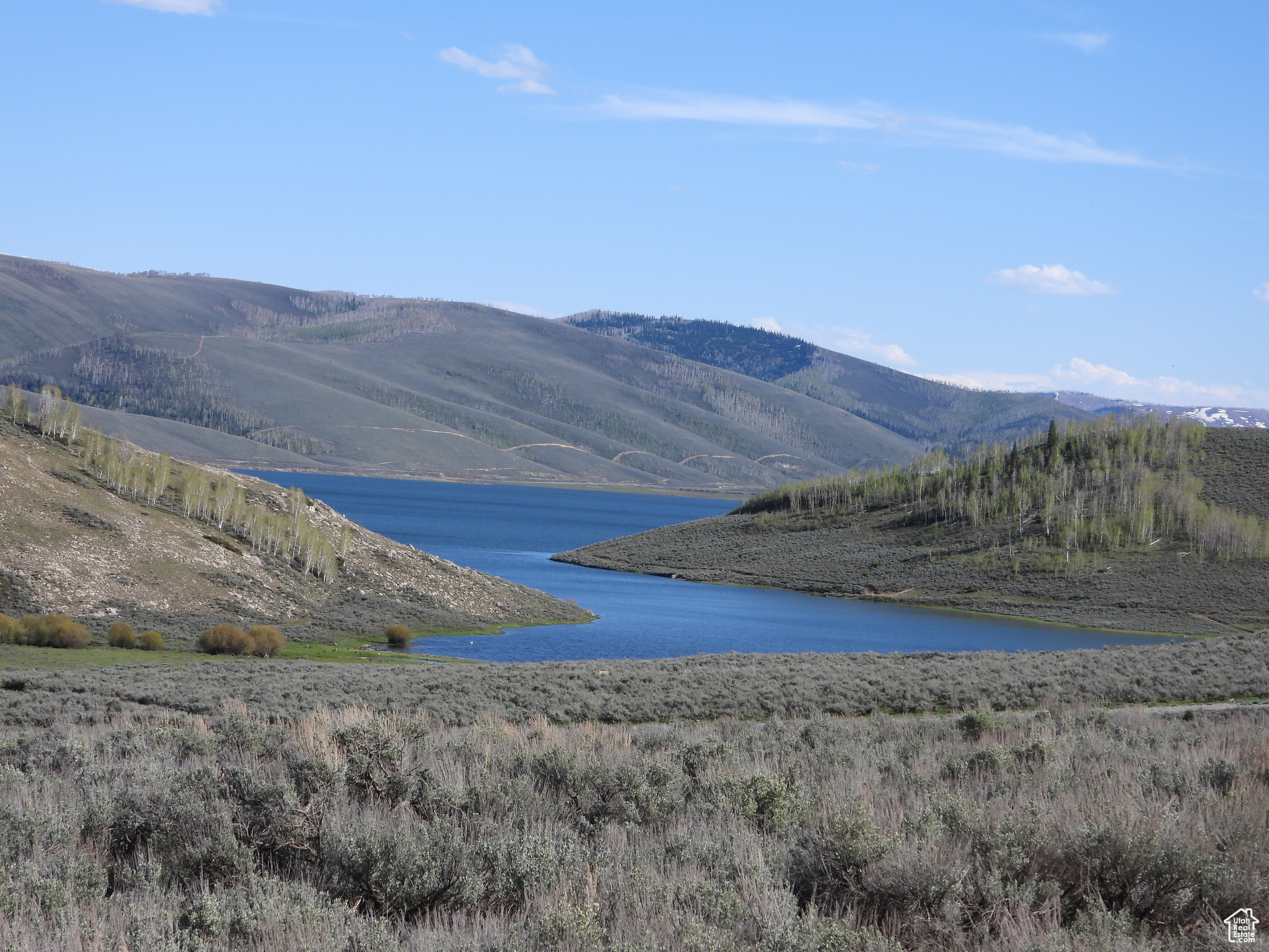 Facing southeast from western edge of property