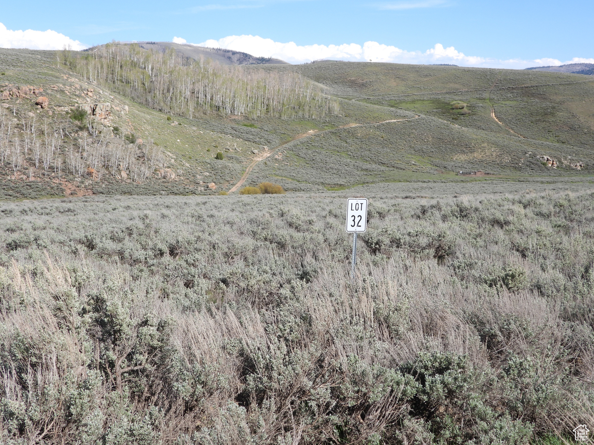 Facing east from western edge of property