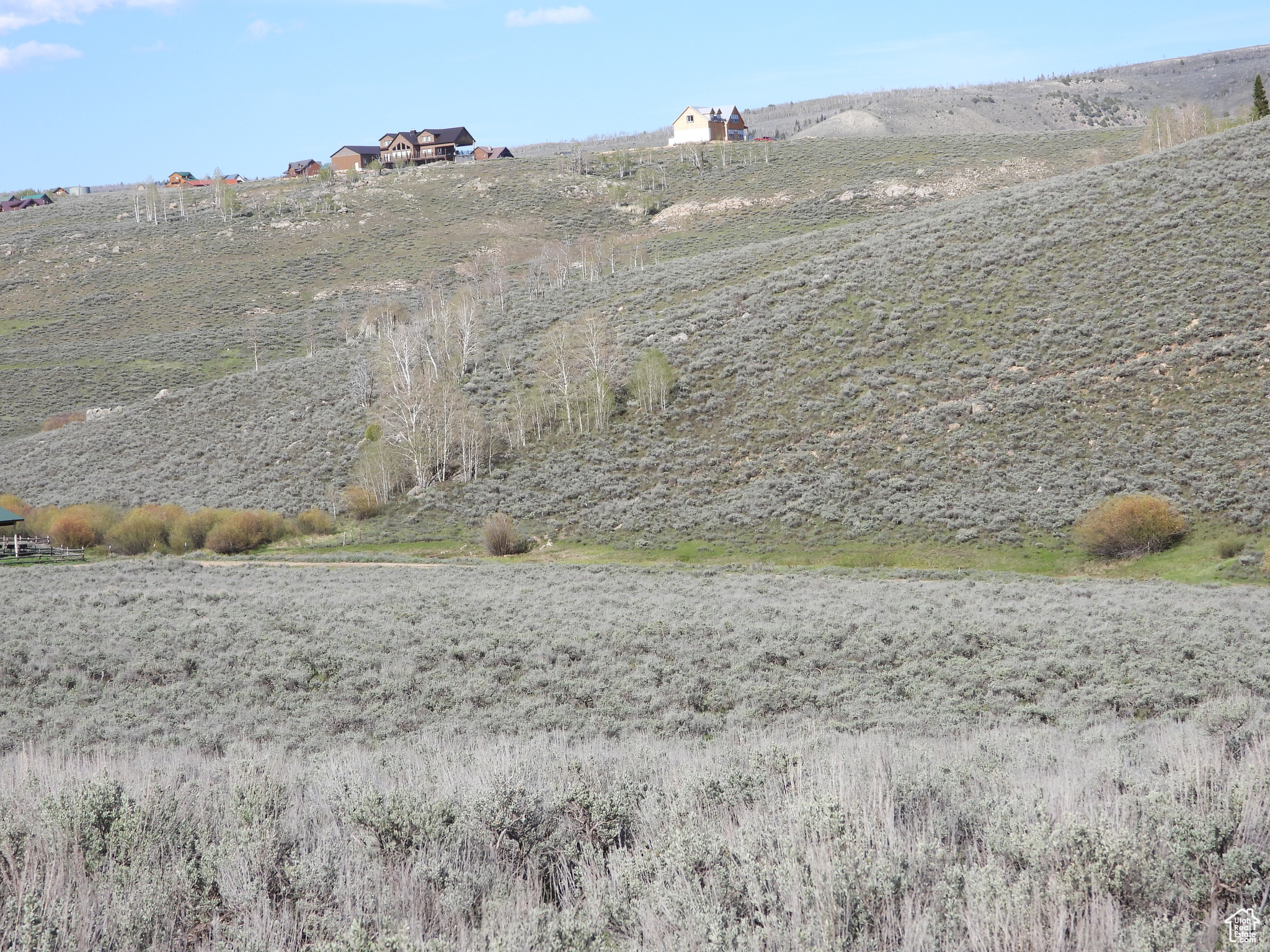 Facing northeast from western edge of property