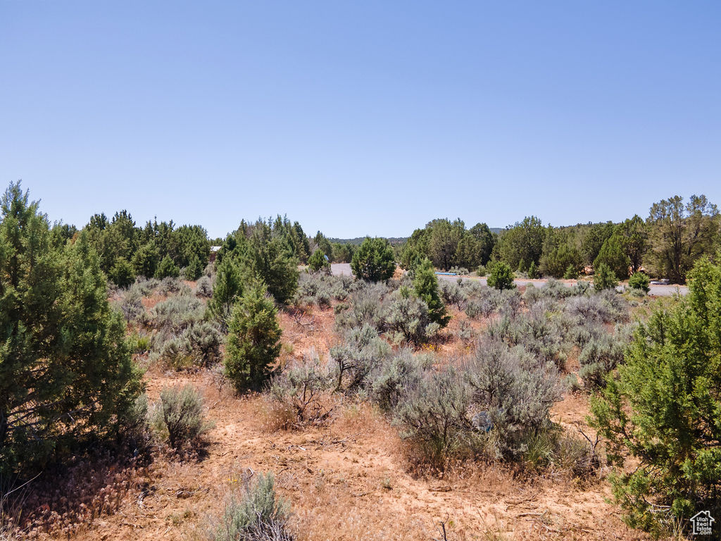 1 PINION #1, Dammeron Valley, Utah 84783, ,Land,For sale,PINION,2001800