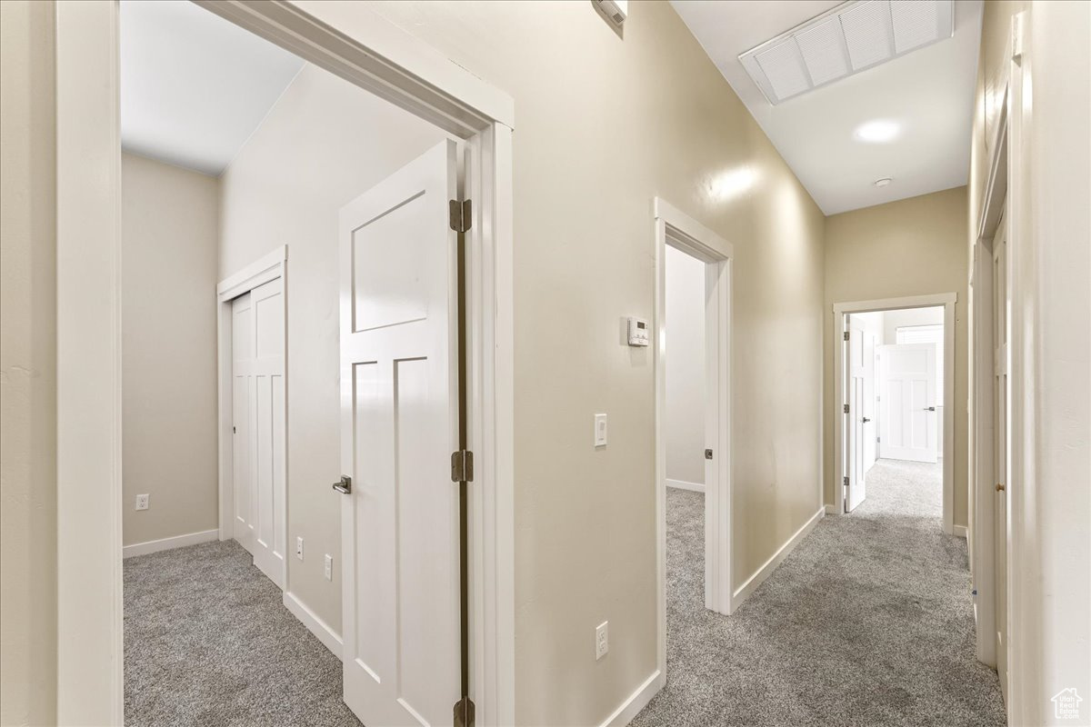 Hall featuring carpet floors