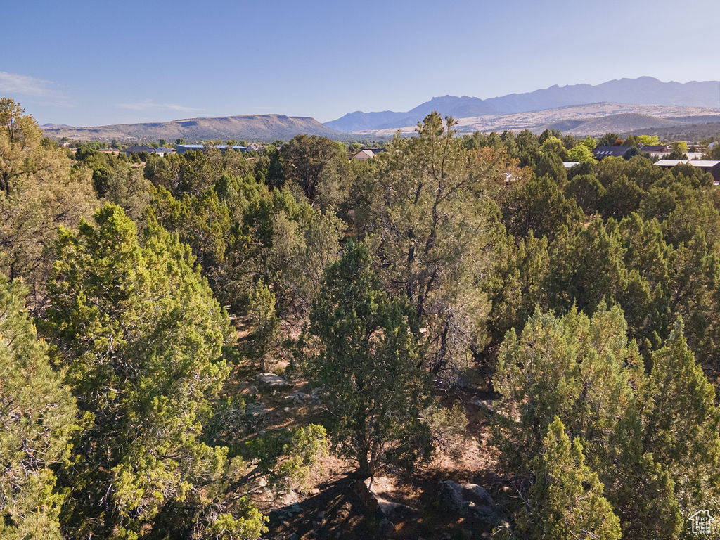 3 PINION #3, Dammeron Valley, Utah 84783, ,Land,For sale,PINION,2001806