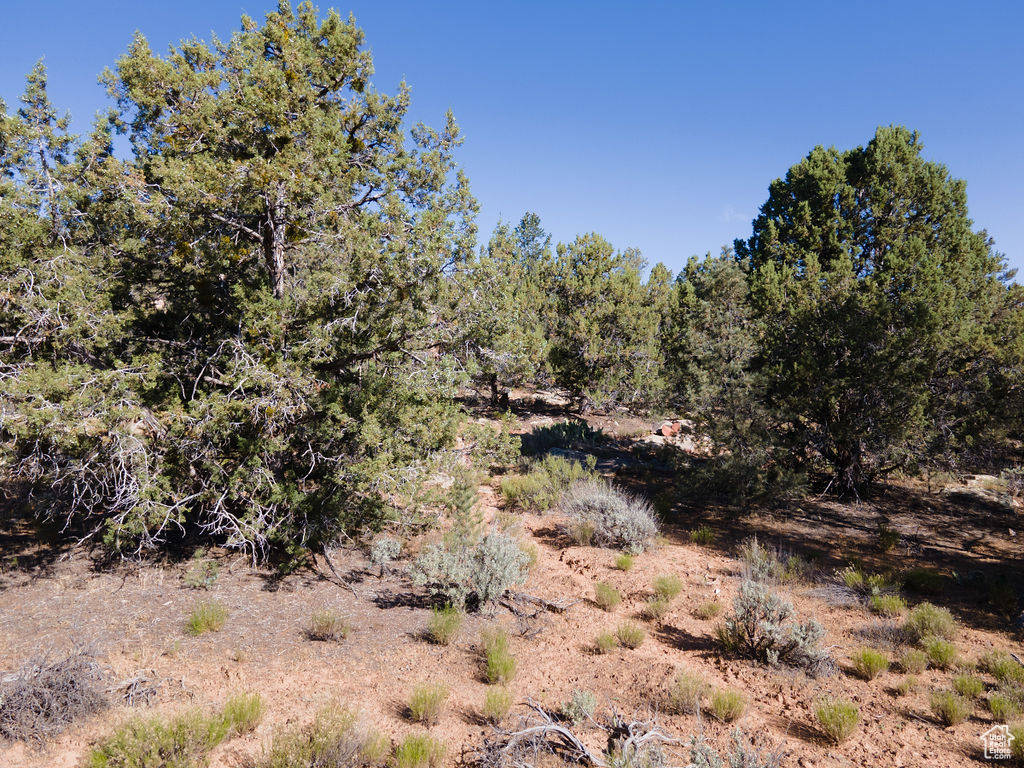 10 PINION #10, Dammeron Valley, Utah 84783, ,Land,For sale,PINION,2001811