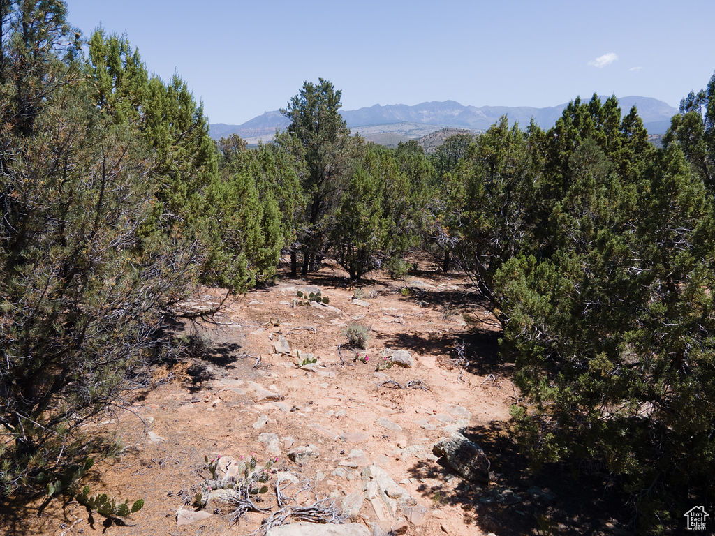 10 PINION #10, Dammeron Valley, Utah 84783, ,Land,For sale,PINION,2001811