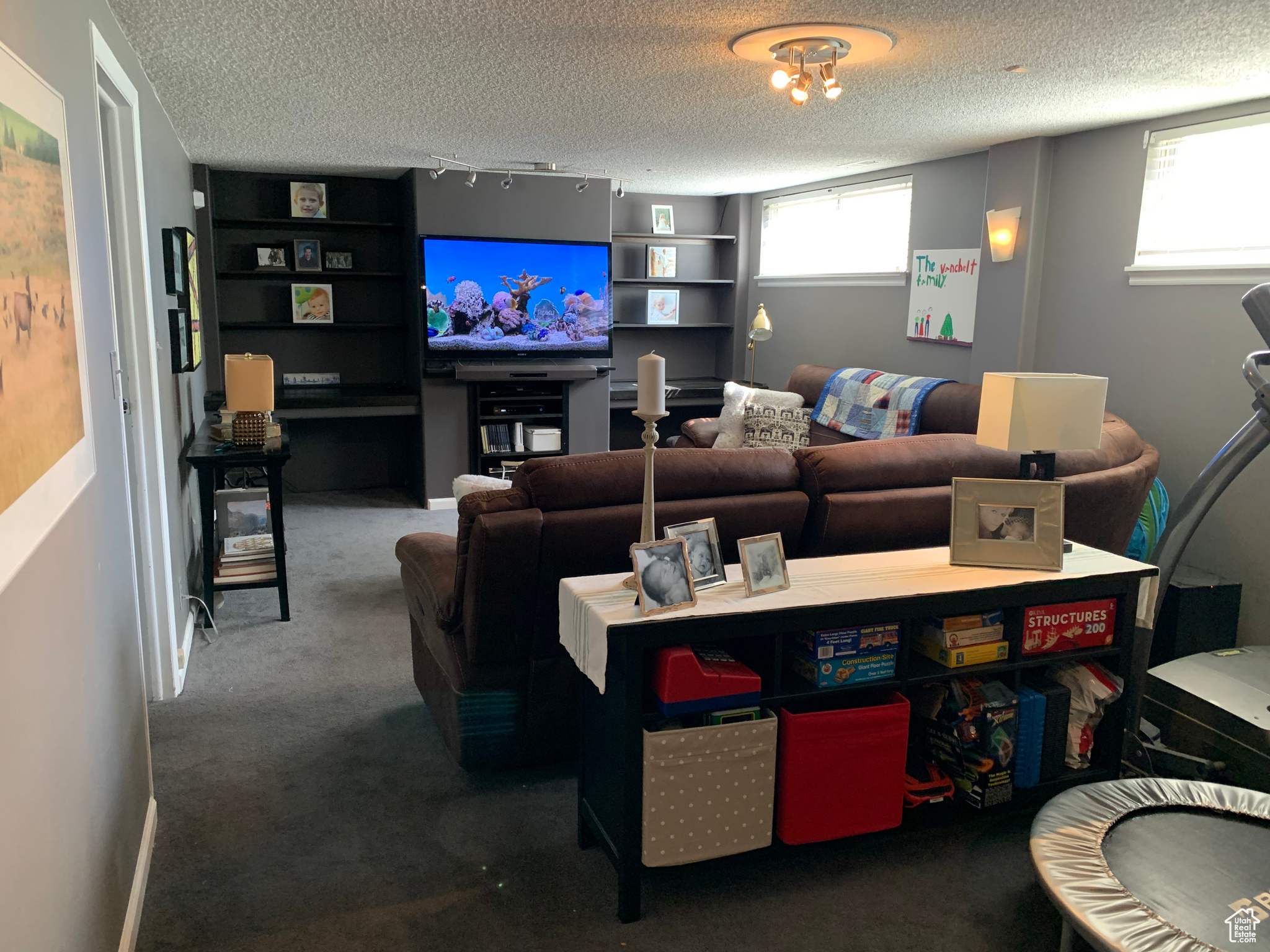 Basement Family Room