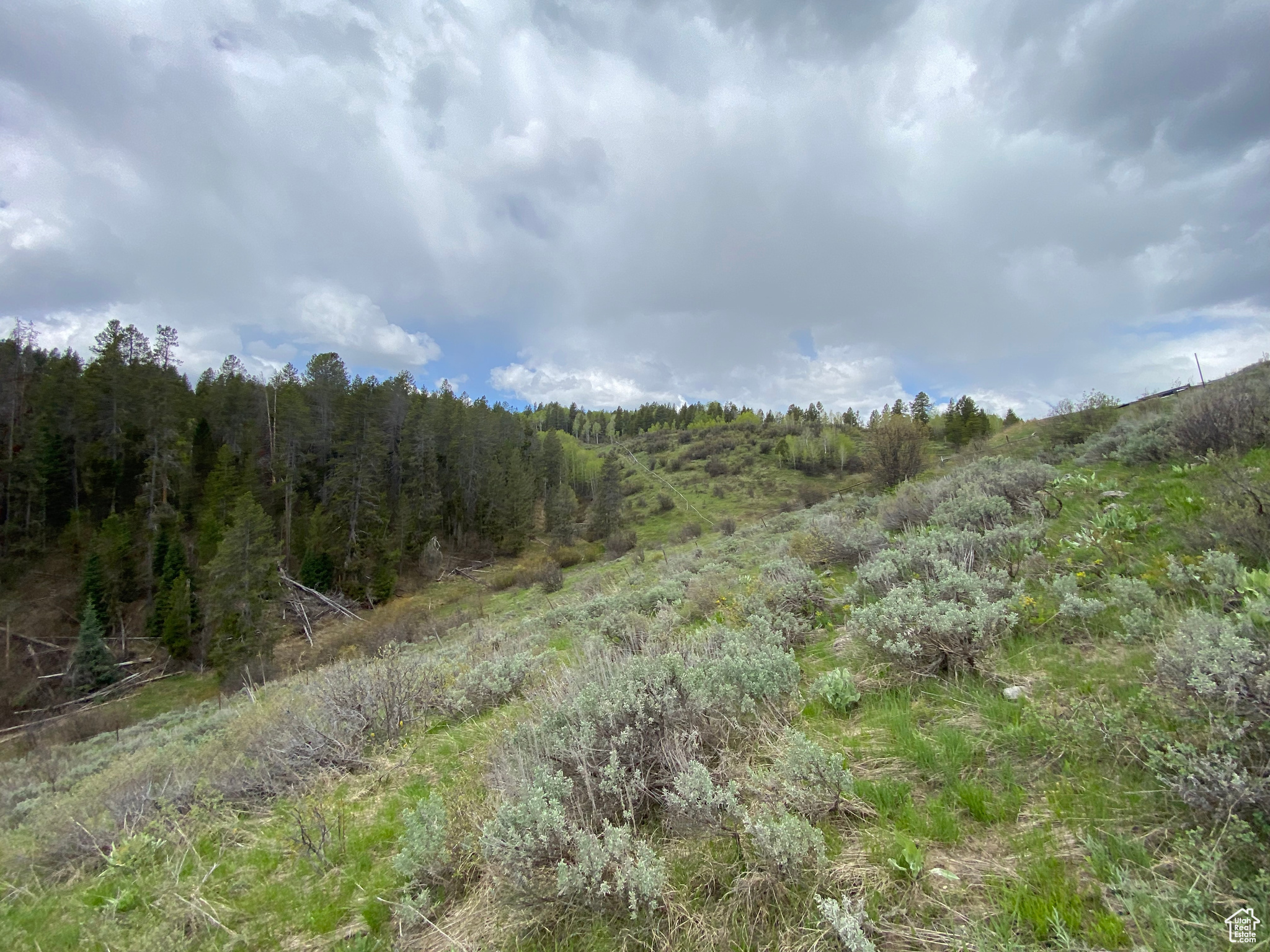 41 GROUSE LOOP #41, Freedom, Wyoming 83120, ,Land,For sale,GROUSE LOOP,2001845