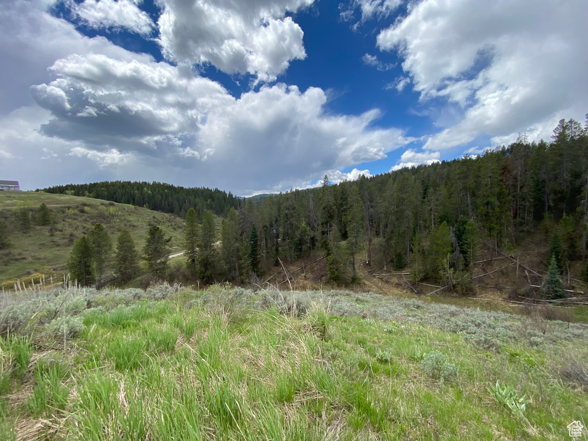 41 GROUSE LOOP #41, Freedom, Wyoming 83120, ,Land,For sale,GROUSE LOOP,2001845