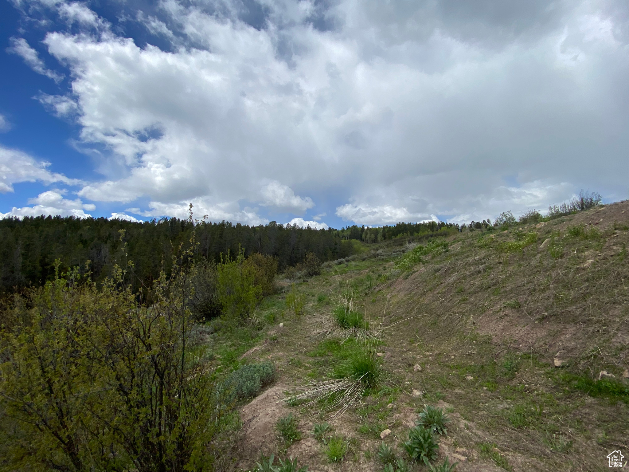 41 GROUSE LOOP #41, Freedom, Wyoming 83120, ,Land,For sale,GROUSE LOOP,2001845