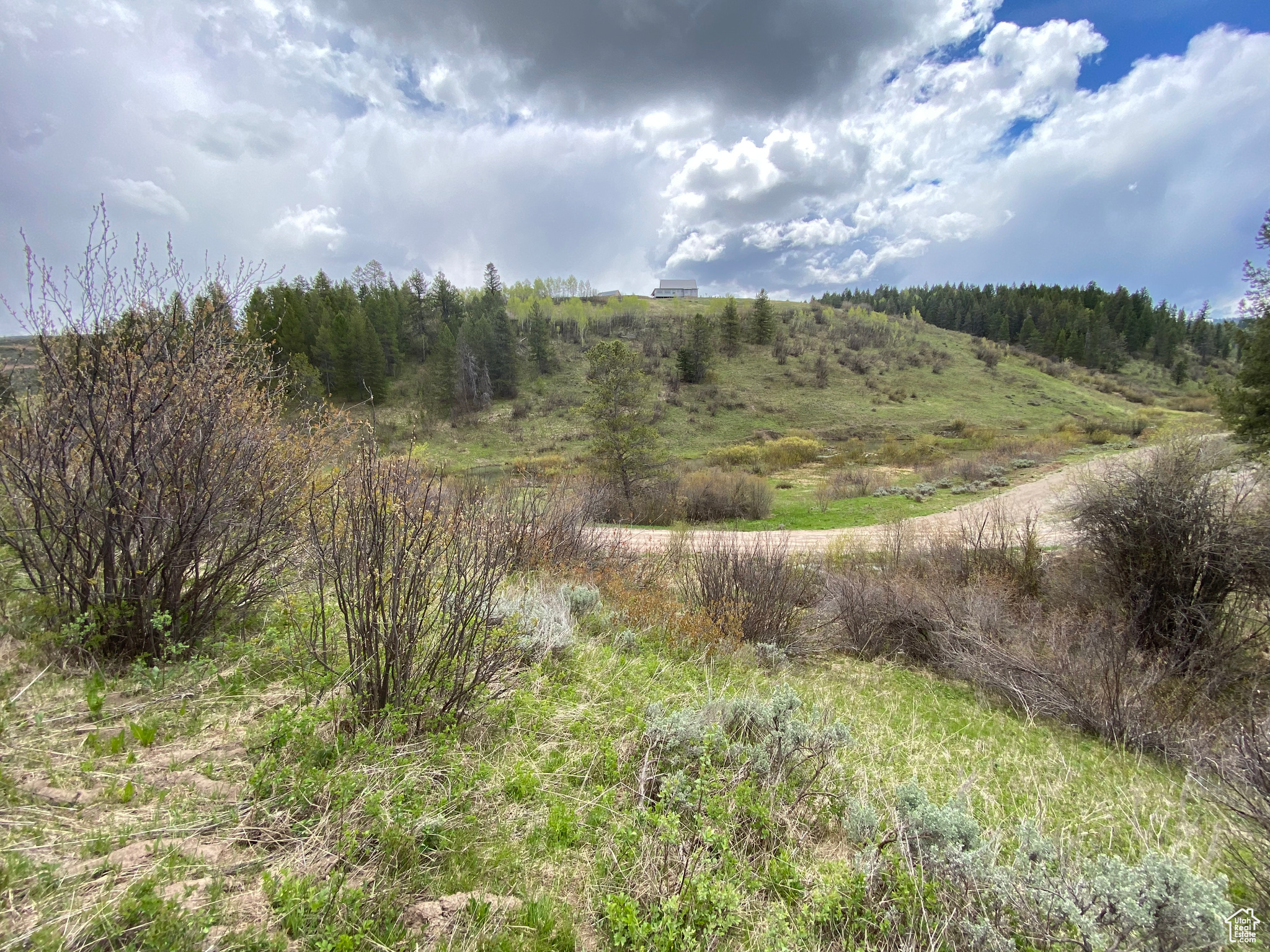 41 GROUSE LOOP #41, Freedom, Wyoming 83120, ,Land,For sale,GROUSE LOOP,2001845