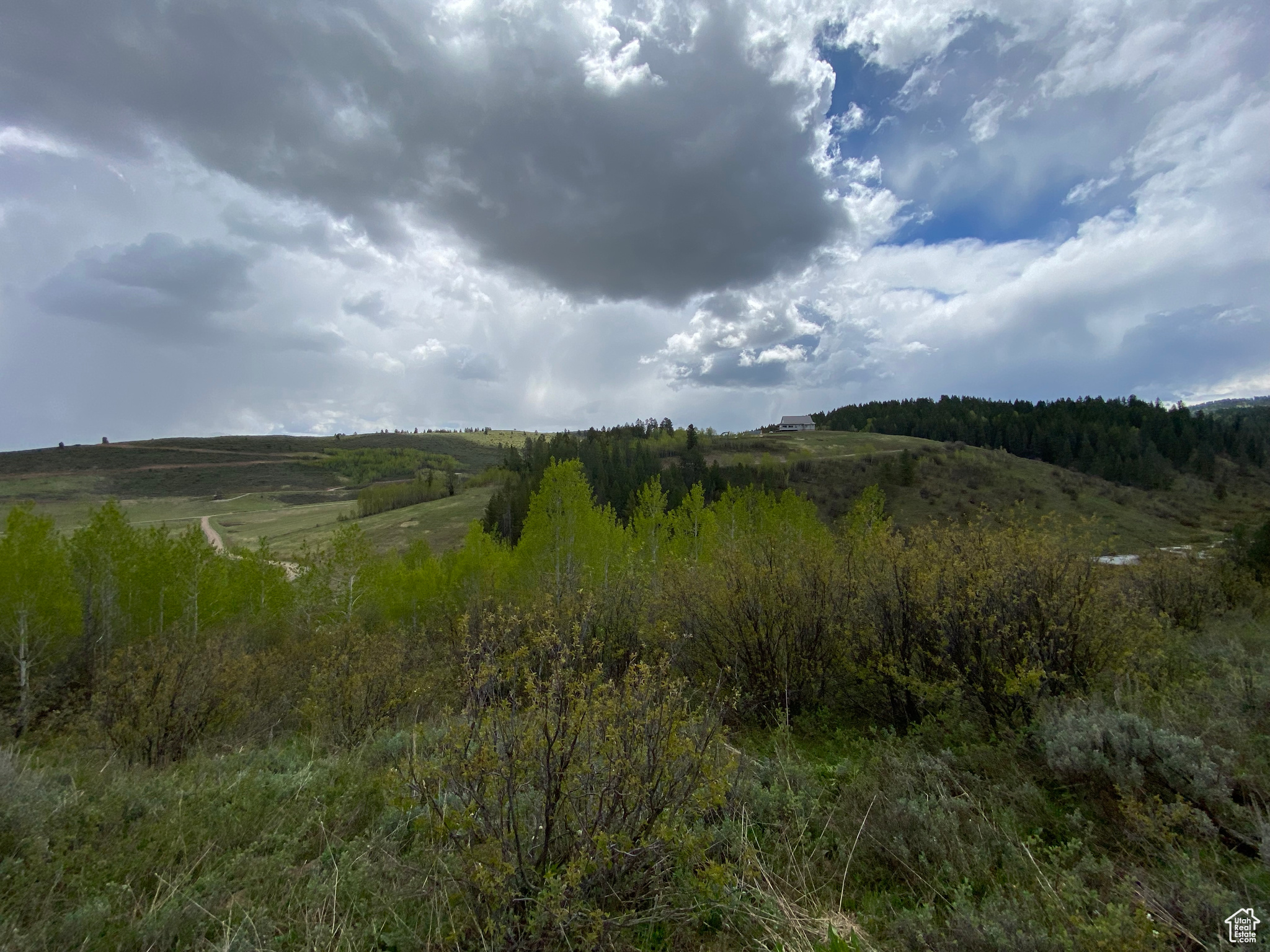 41 GROUSE LOOP #41, Freedom, Wyoming 83120, ,Land,For sale,GROUSE LOOP,2001845