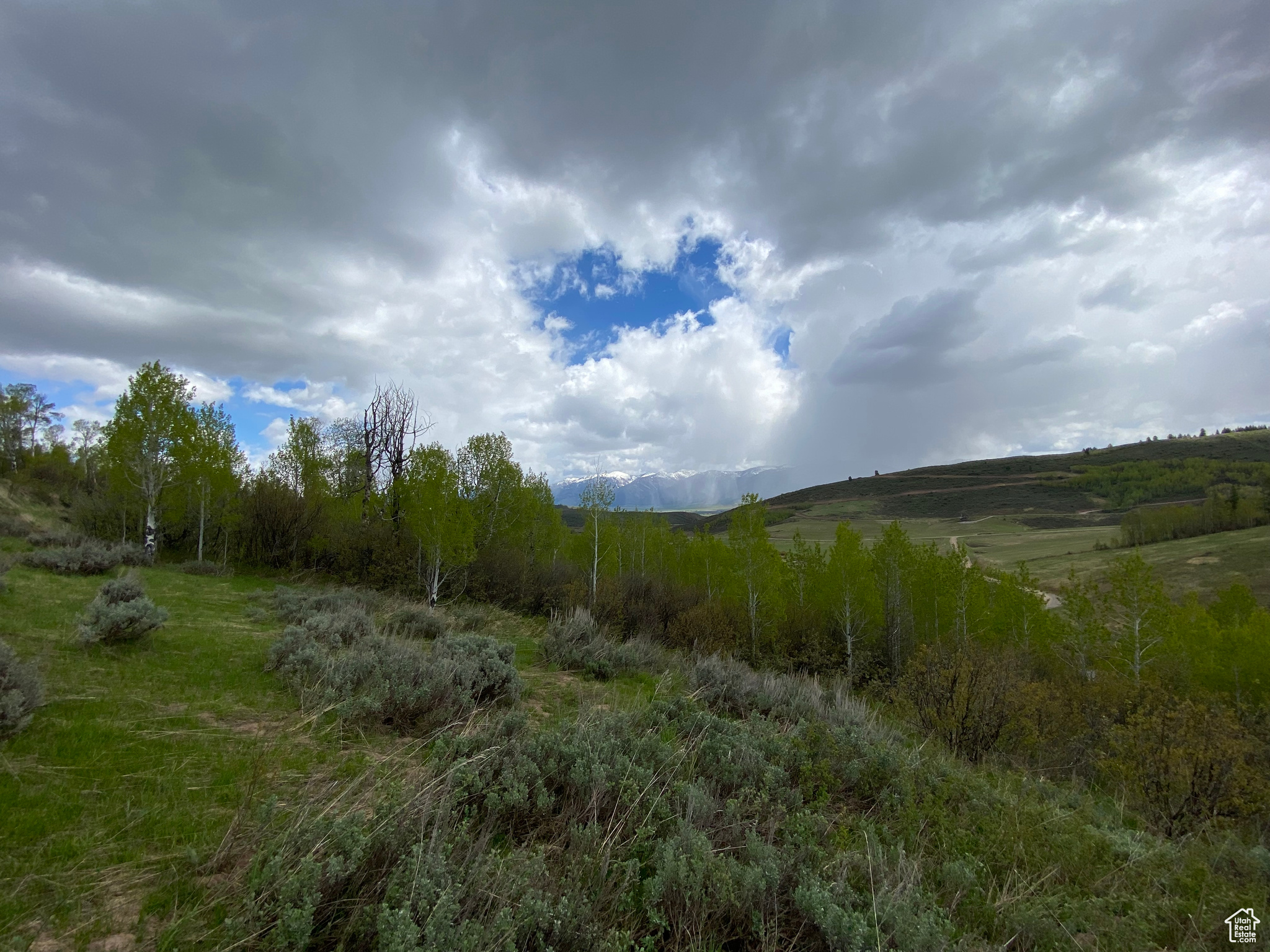 41 GROUSE LOOP #41, Freedom, Wyoming 83120, ,Land,For sale,GROUSE LOOP,2001845