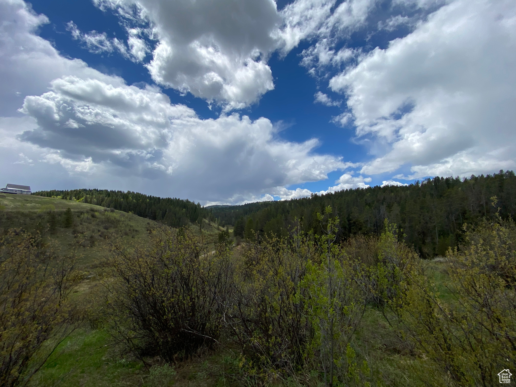 41 GROUSE LOOP #41, Freedom, Wyoming 83120, ,Land,For sale,GROUSE LOOP,2001845