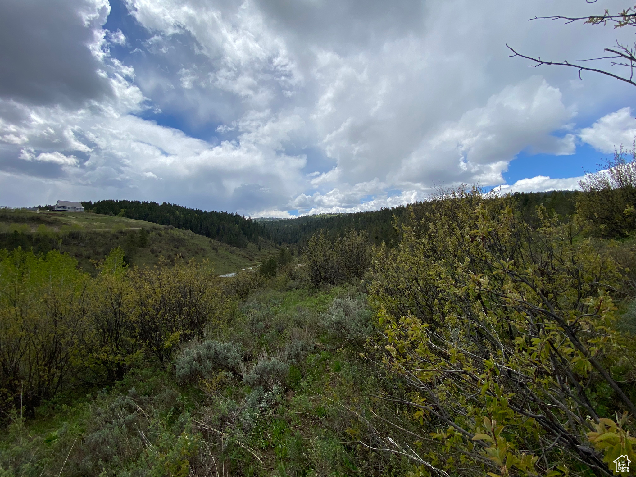 41 GROUSE LOOP #41, Freedom, Wyoming 83120, ,Land,For sale,GROUSE LOOP,2001845