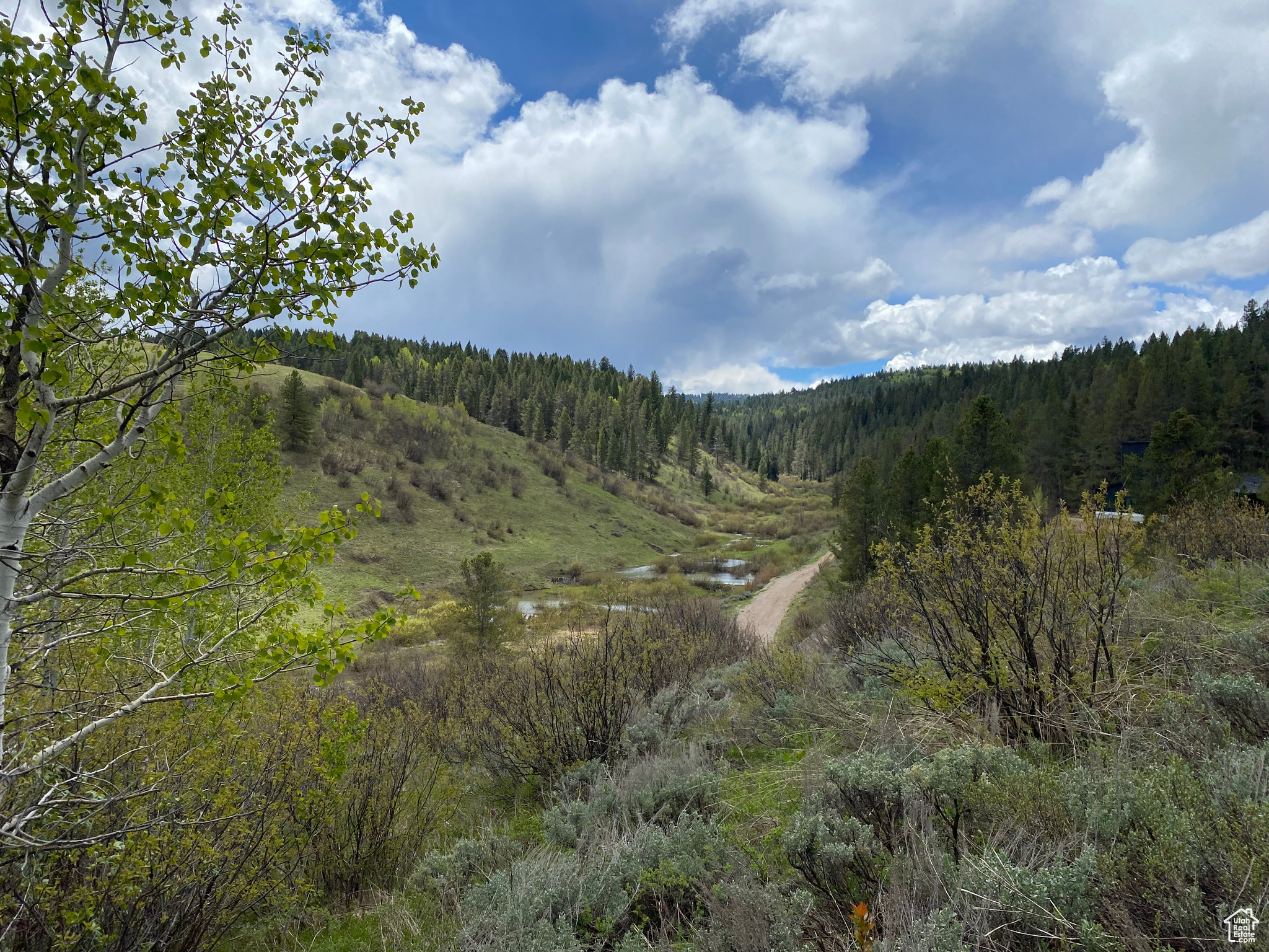 41 GROUSE LOOP #41, Freedom, Wyoming 83120, ,Land,For sale,GROUSE LOOP,2001845