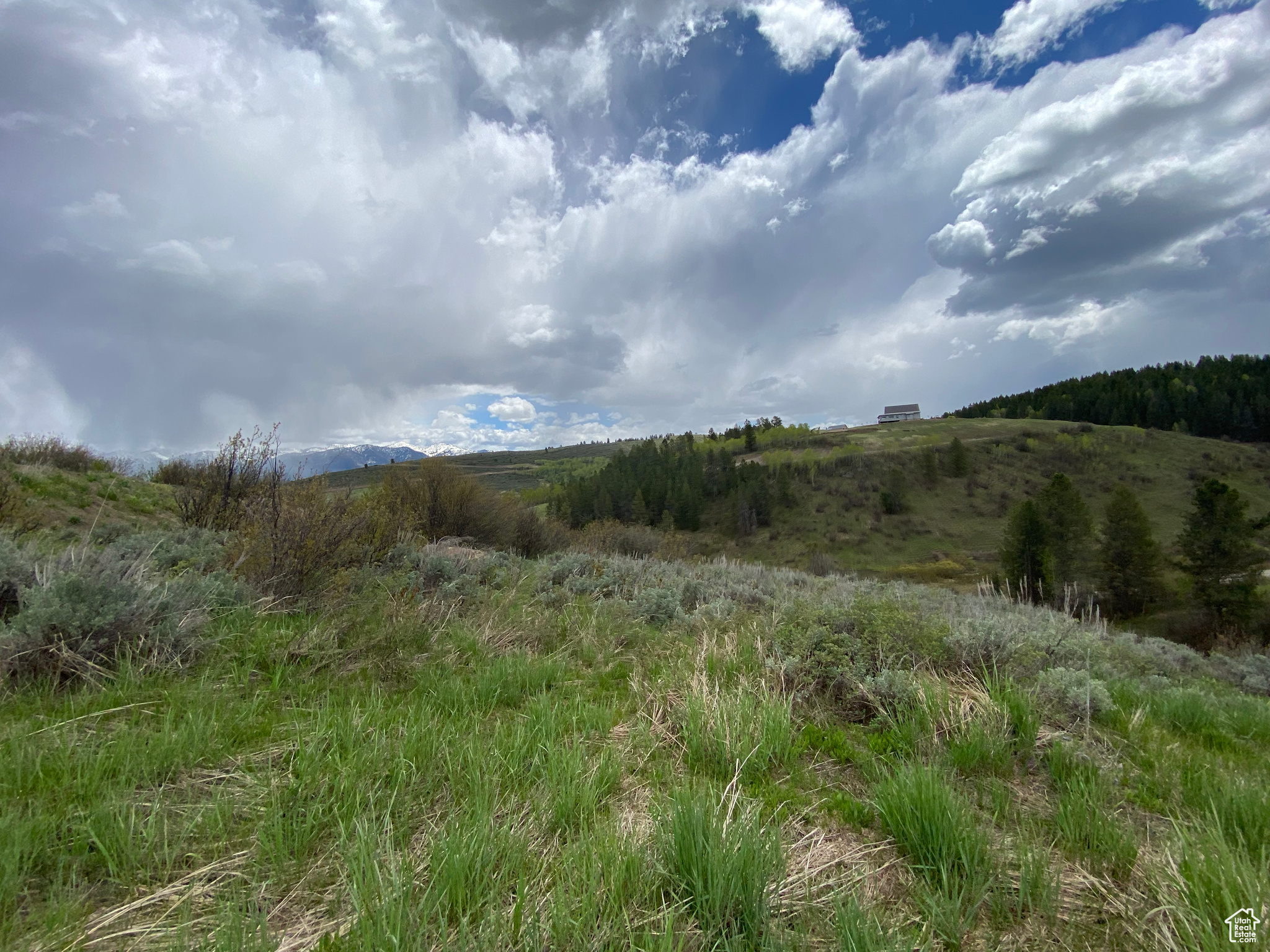 41 GROUSE LOOP #41, Freedom, Wyoming 83120, ,Land,For sale,GROUSE LOOP,2001845