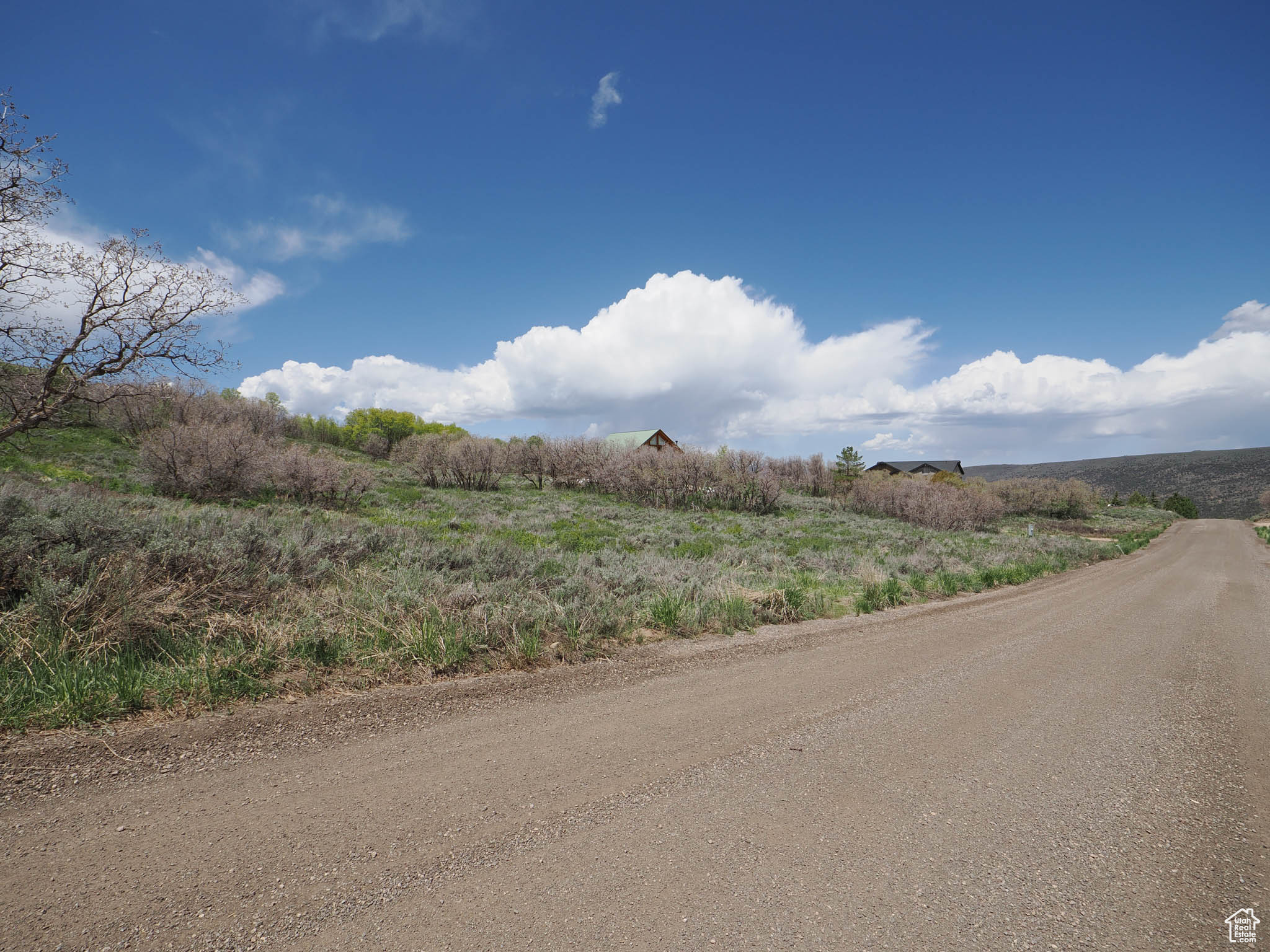 Road View - Northerly