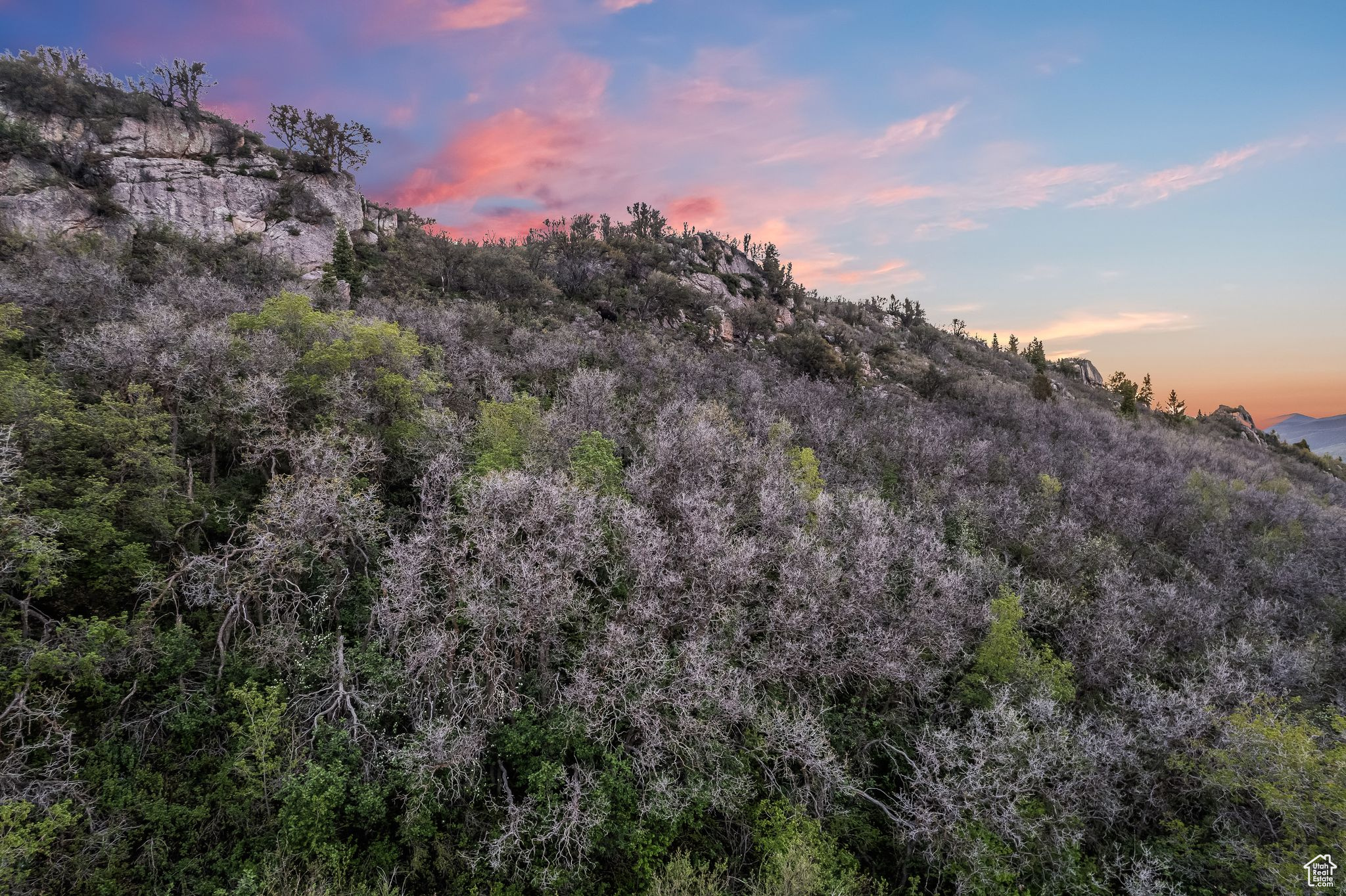 7055 CANYON #126, Snyderville, Utah 84098, ,Land,For sale,CANYON,2001854