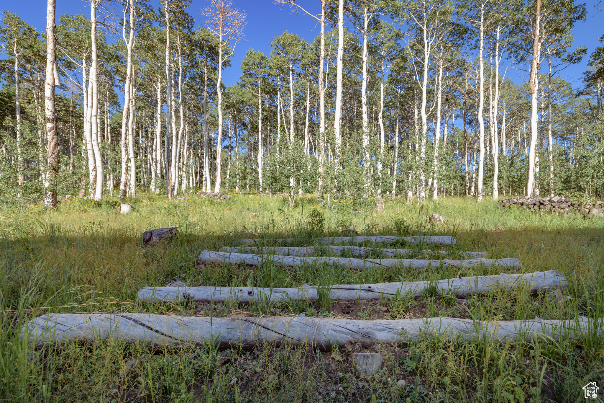 View of nature