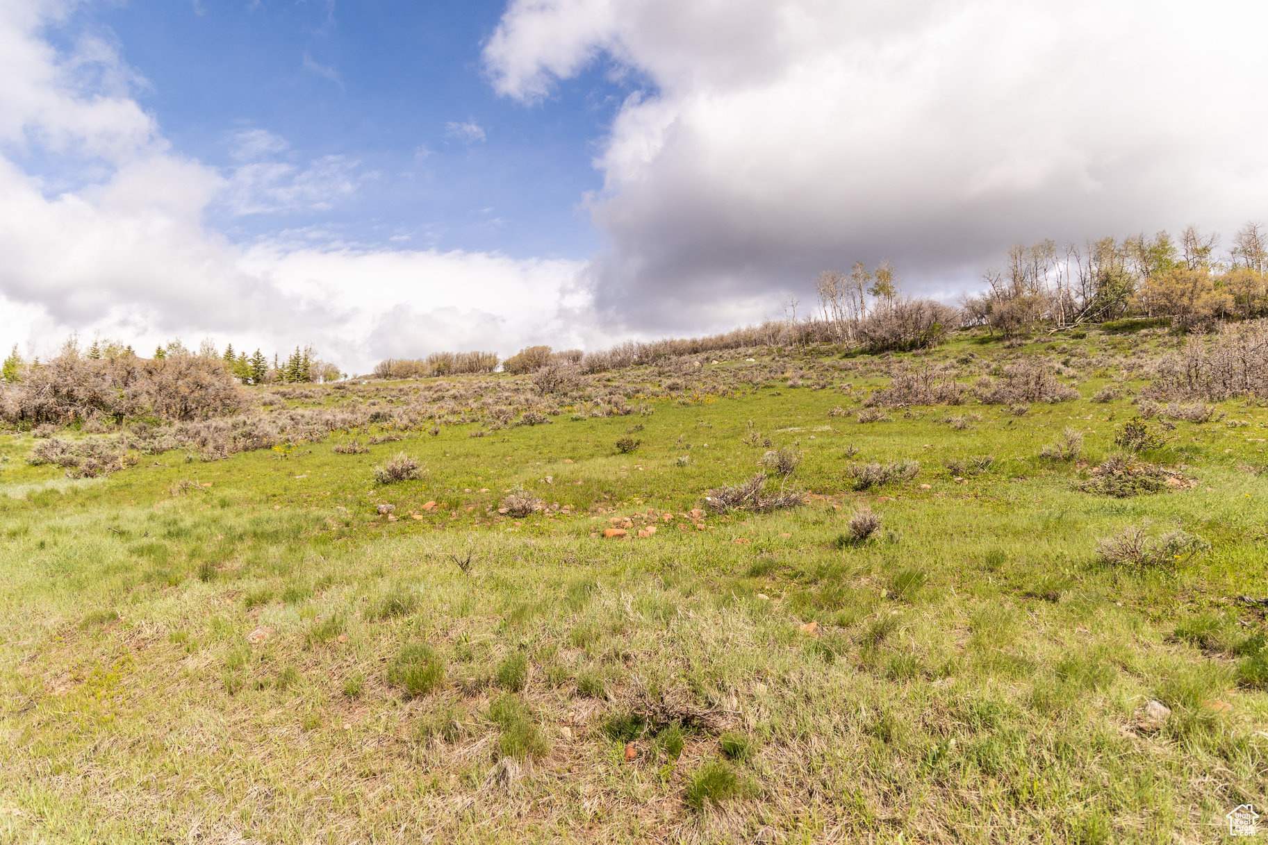 456 RED FOX, Park City, Utah 84098, ,Land,For sale,RED FOX,2001900