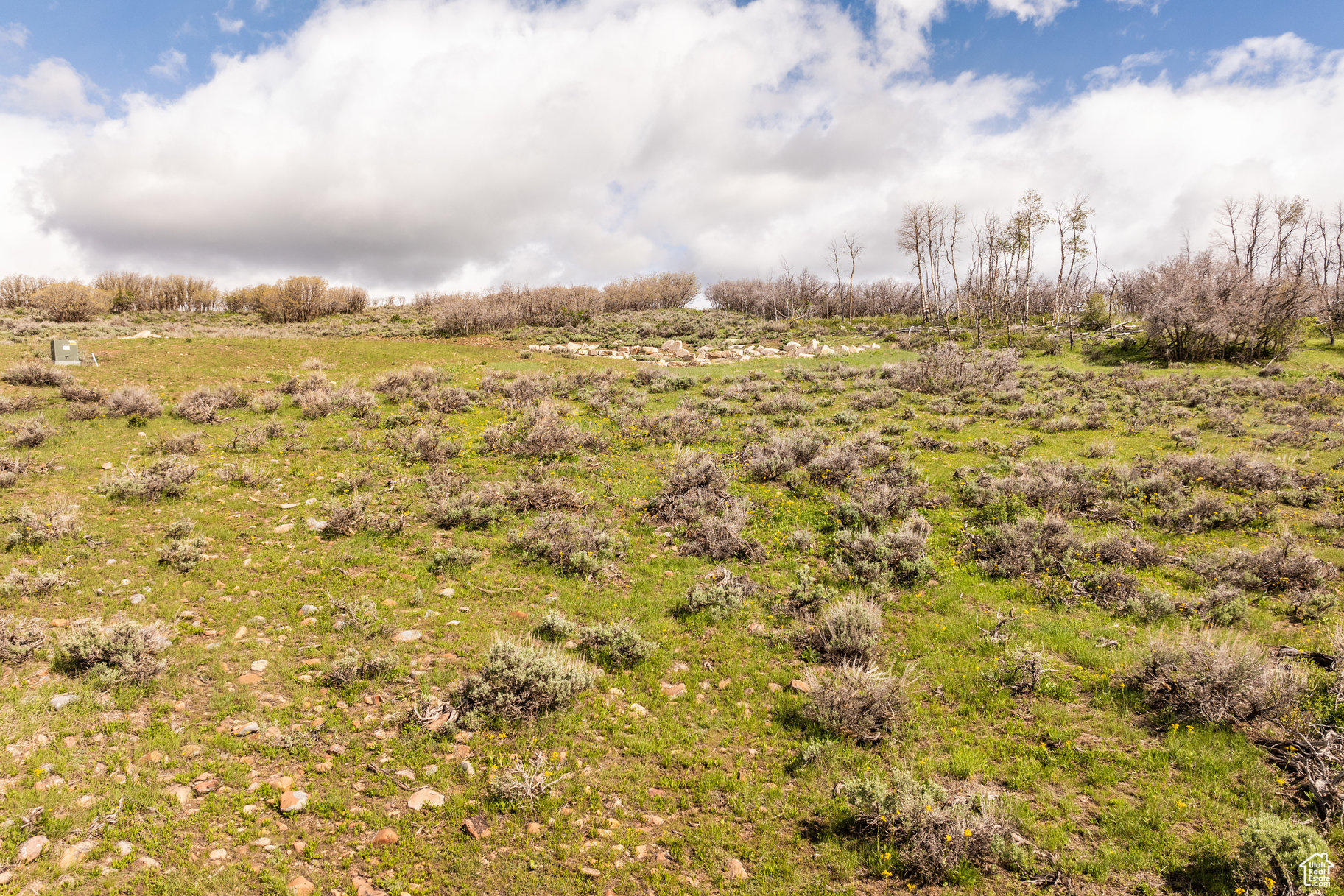 456 RED FOX, Park City, Utah 84098, ,Land,For sale,RED FOX,2001900