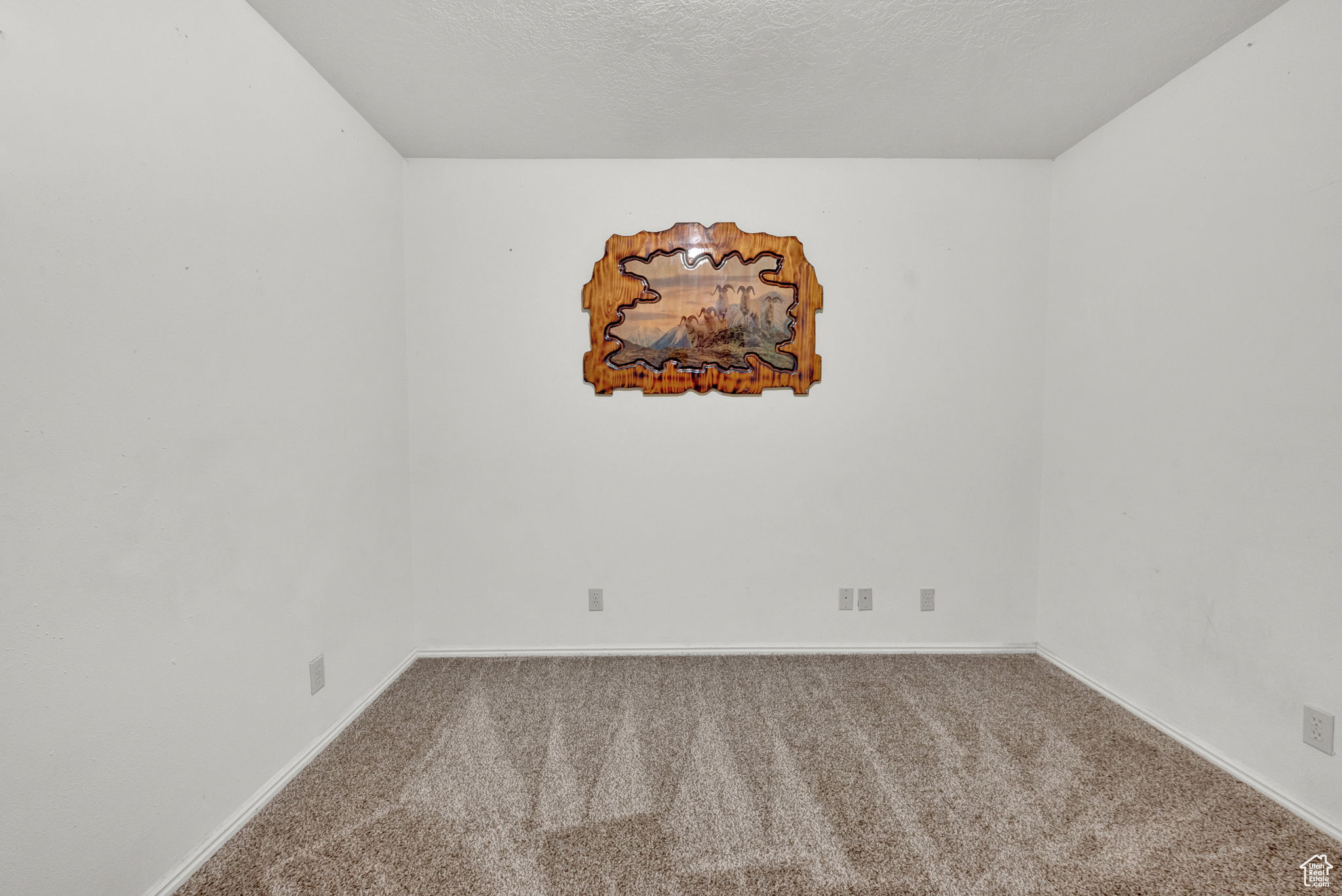 Unfurnished room with carpet and a textured ceiling